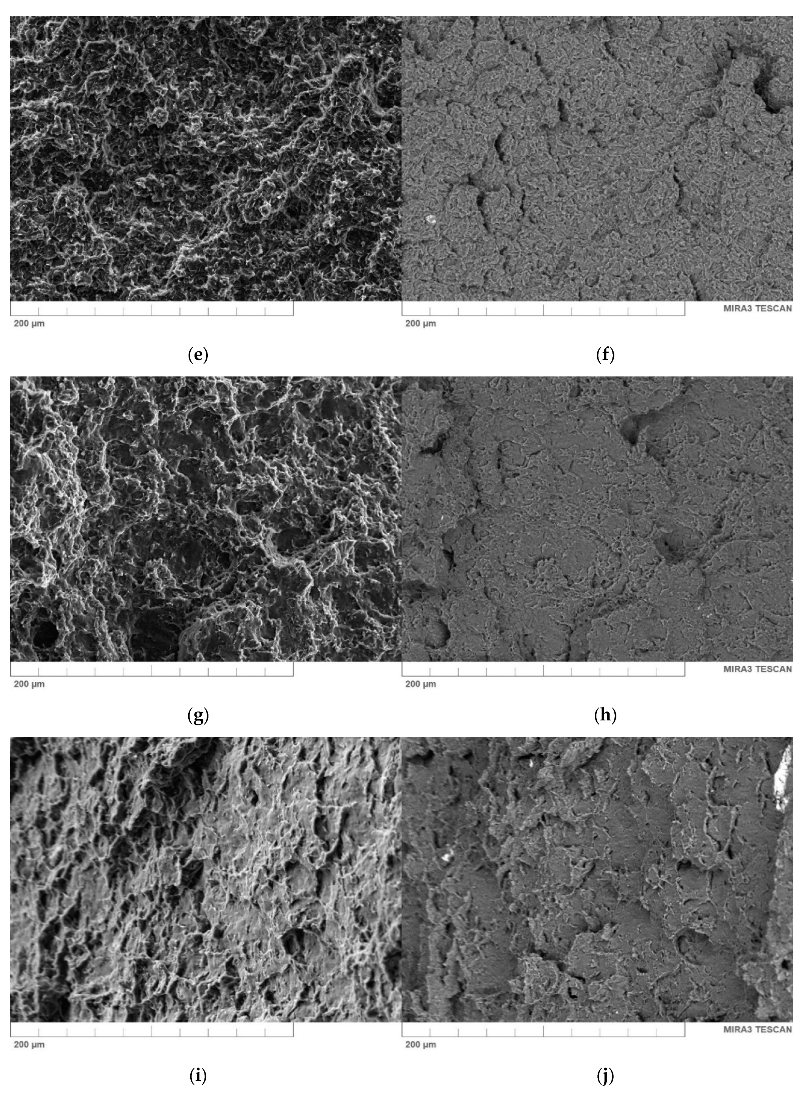 Materials 13 02255 g012b Materials 13 02255 g012b