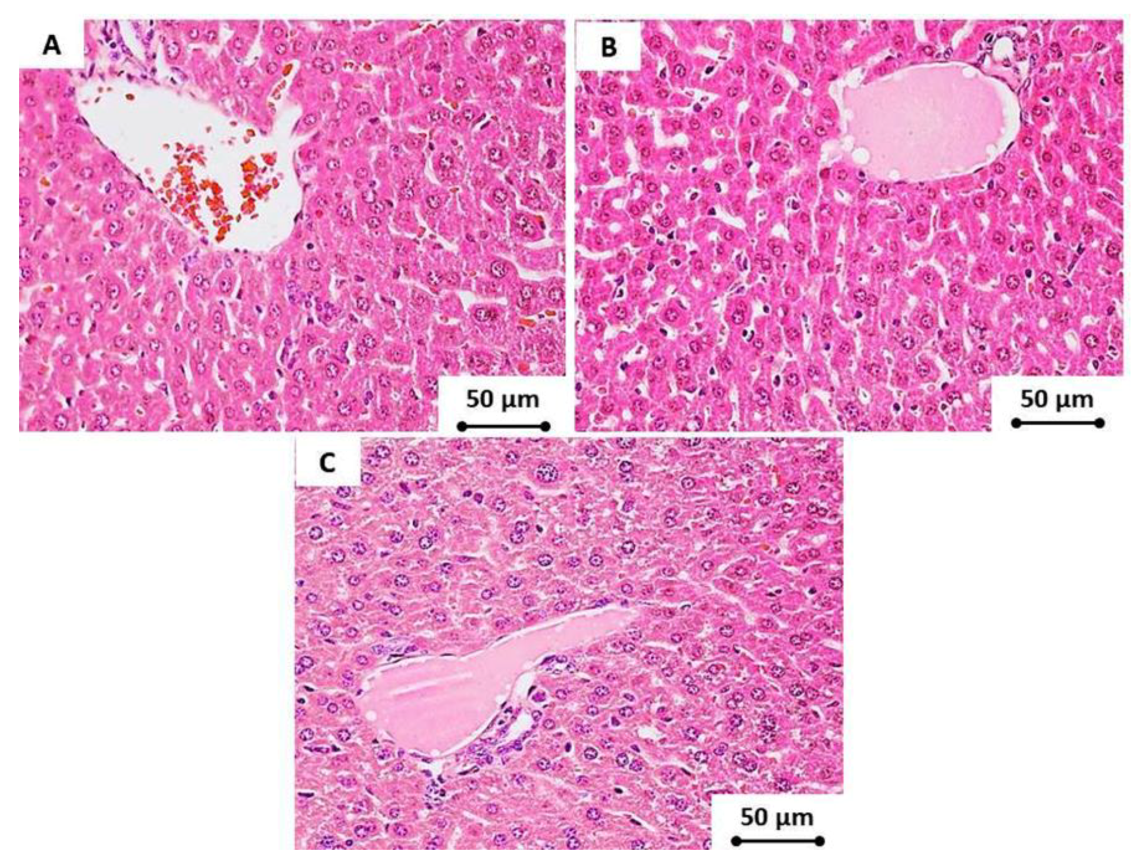 Materials 13 02275 g008 Materials 13 02275 g008