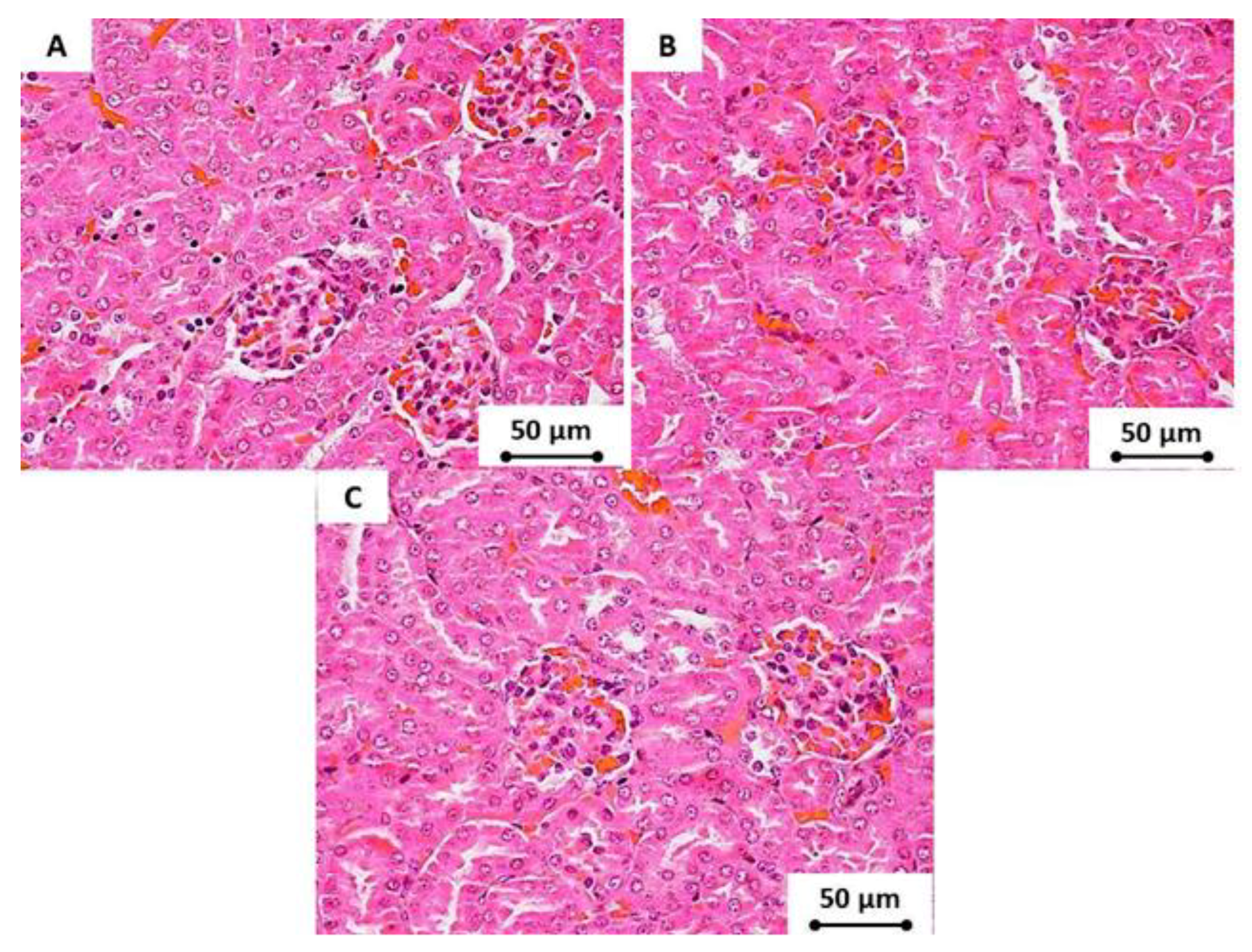 Materials 13 02275 g009 Materials 13 02275 g009