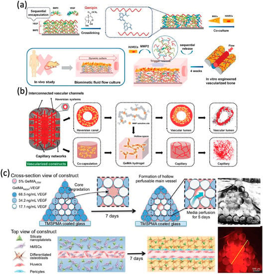 Materials | Free Full-Text | 3D Bioprinting For Vascularized Tissue ...