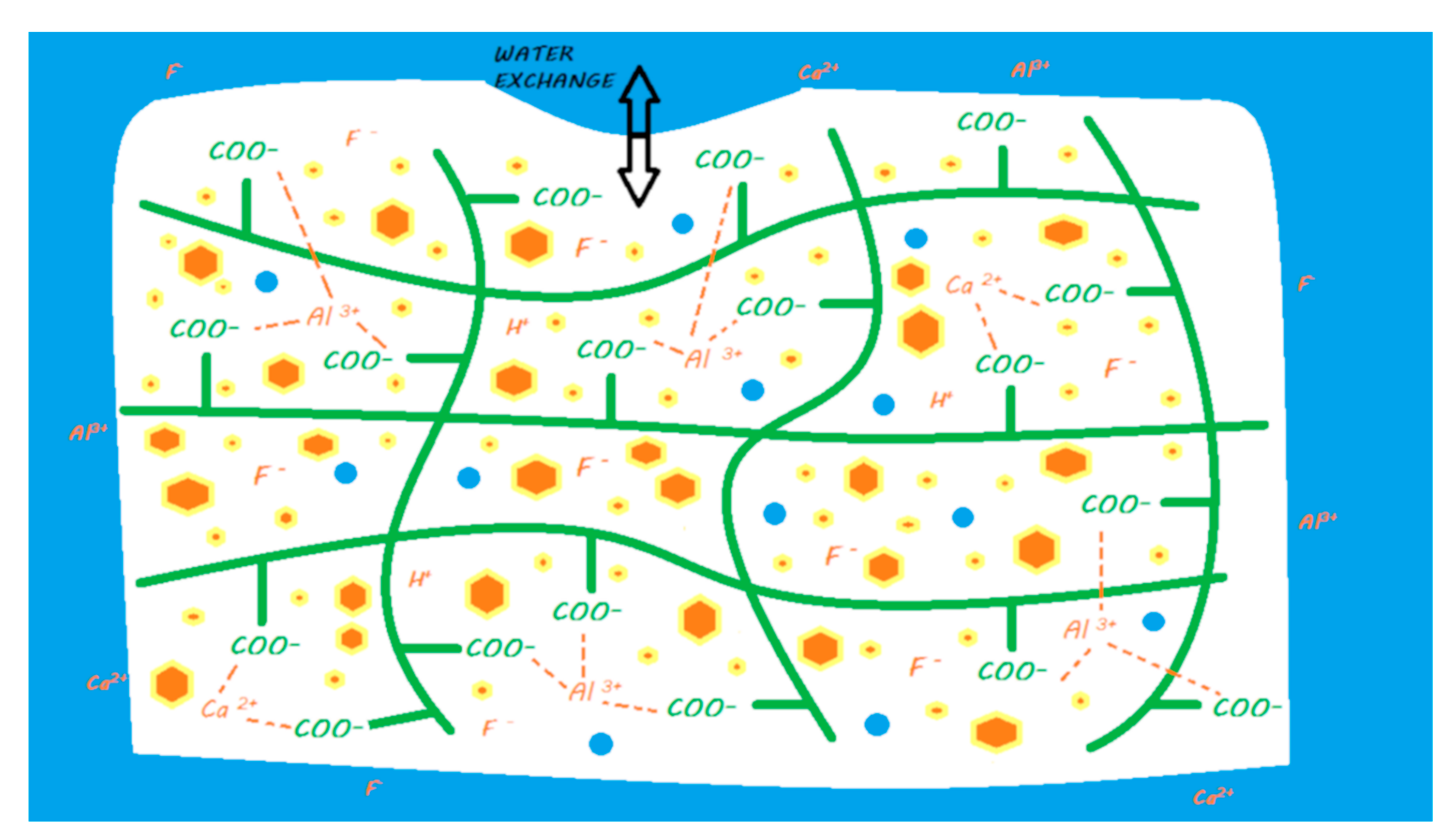 Materials 13 02313 g005 Materials 13 02313 g005