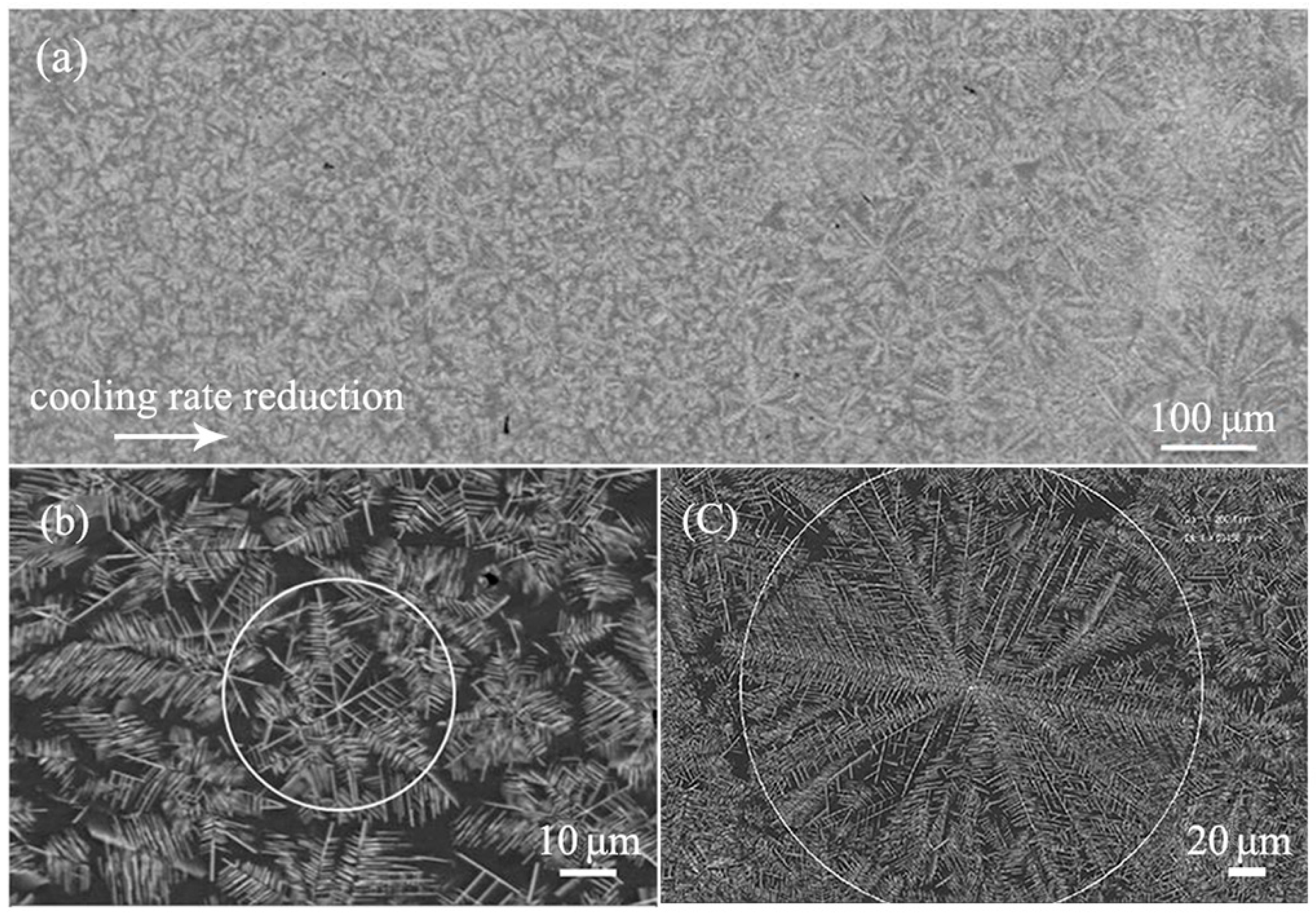 Materials 13 02388 g007