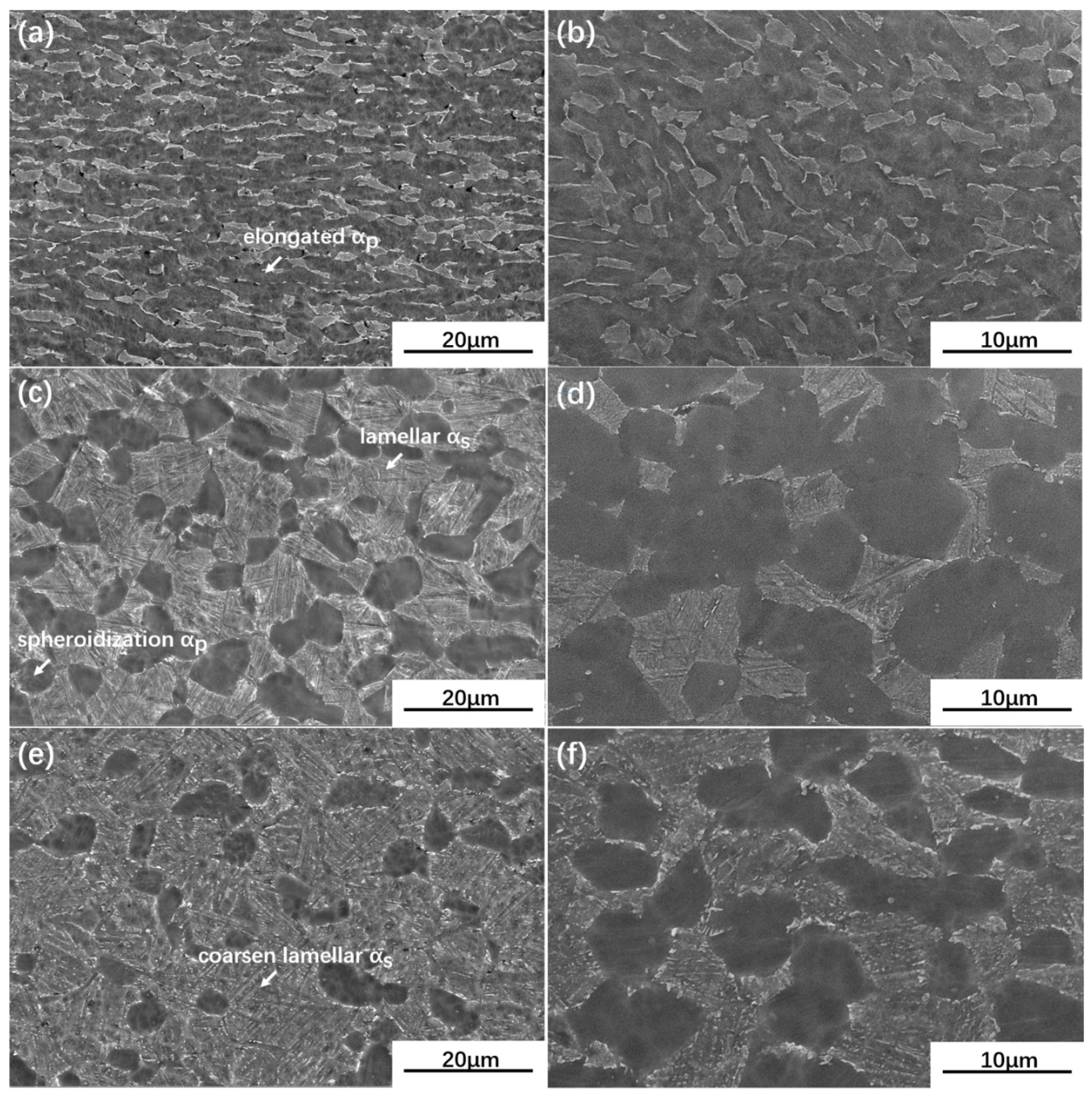 Materials Free Full Text Microstructure And Texture Variations In High Temperature Titanium Alloy Ti65 Sheets With Different Rolling Modes And Heat Treatments Html
