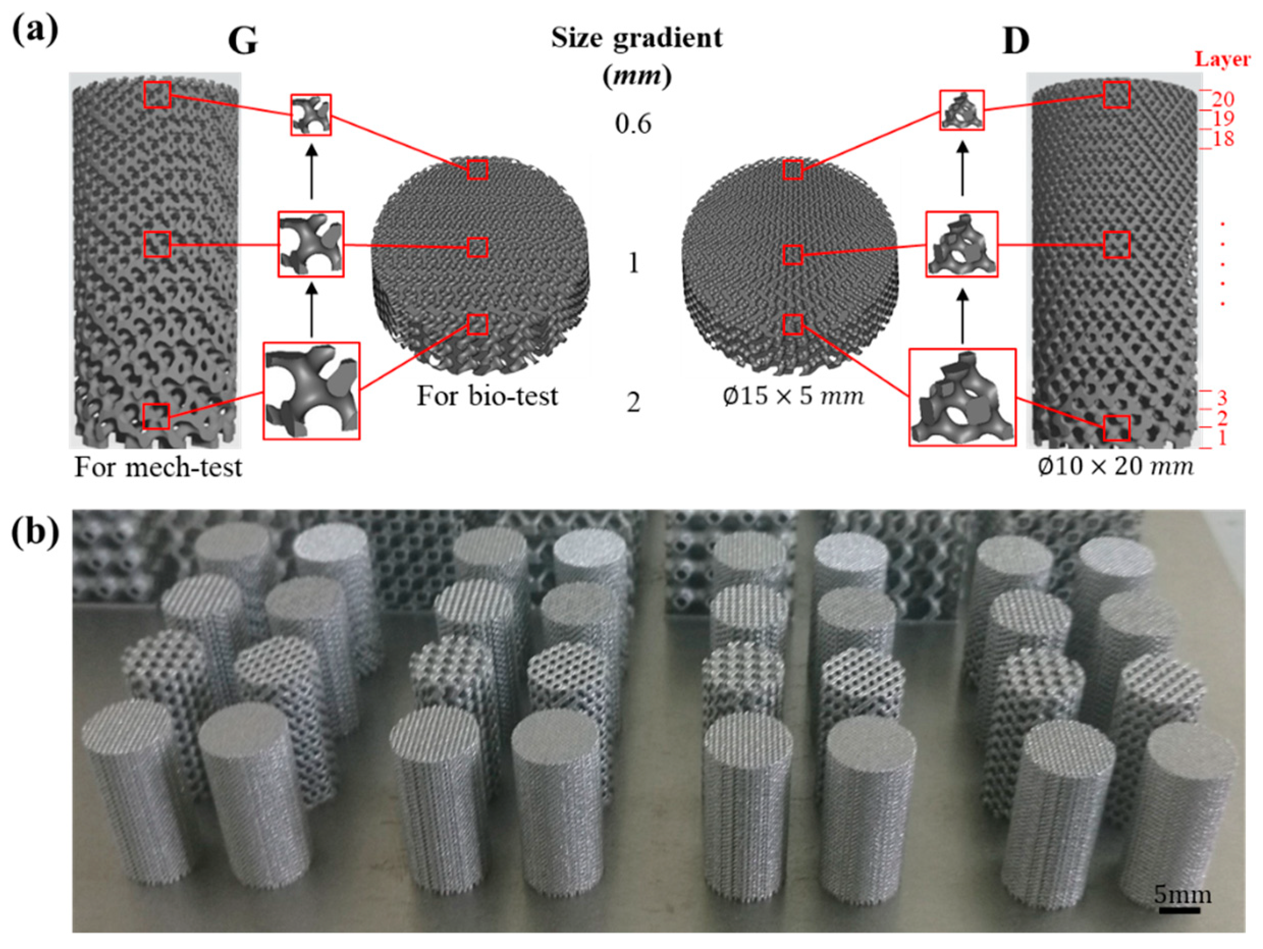Materials 13 02589 g001 Materials 13 02589 g001