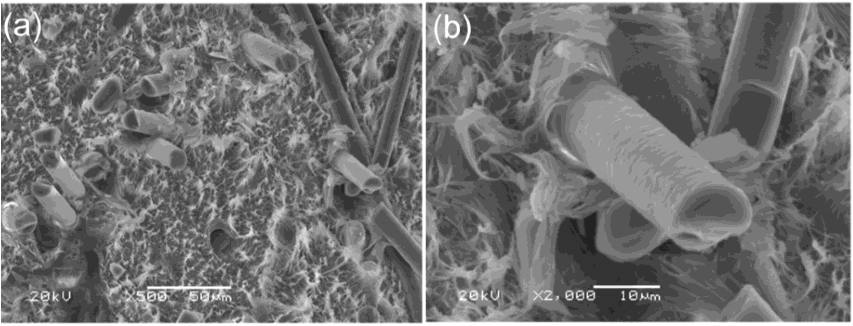 Materials 13 02595 g002