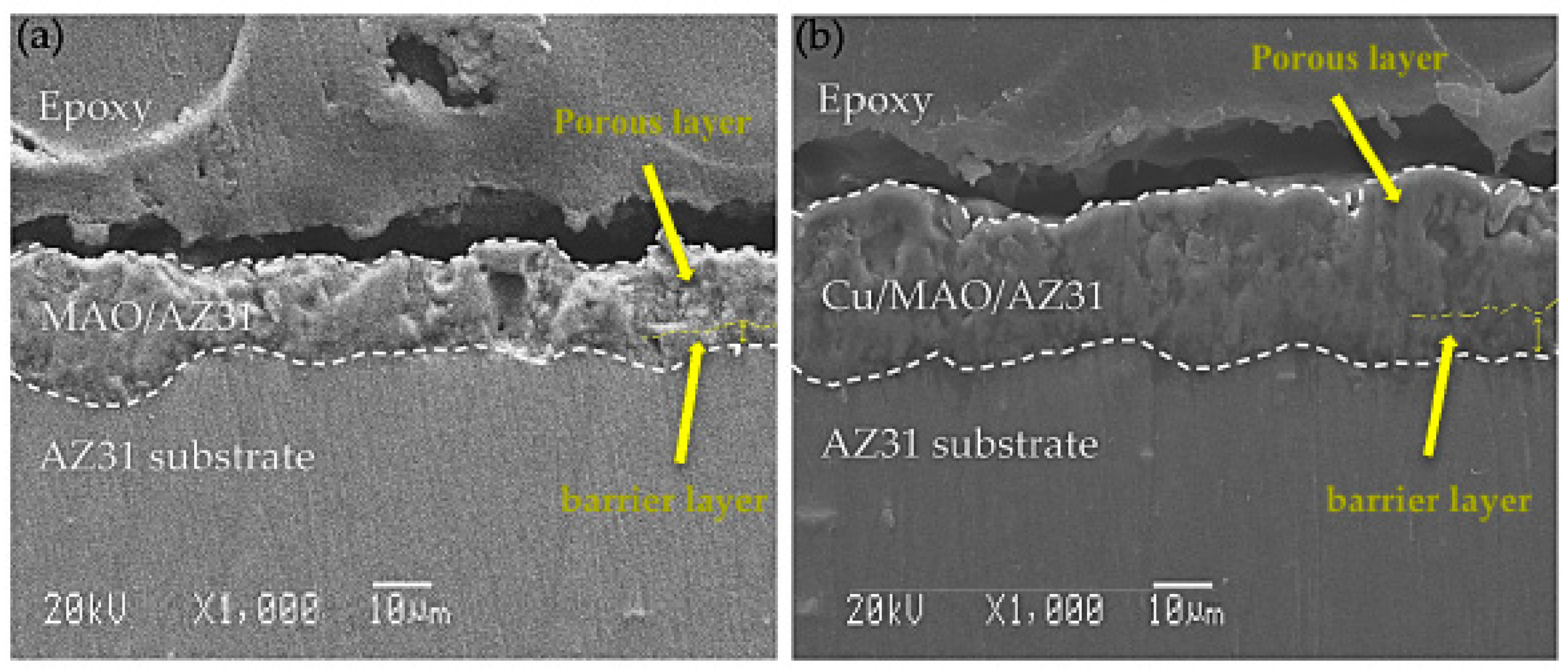 Materials 13 02647 g002