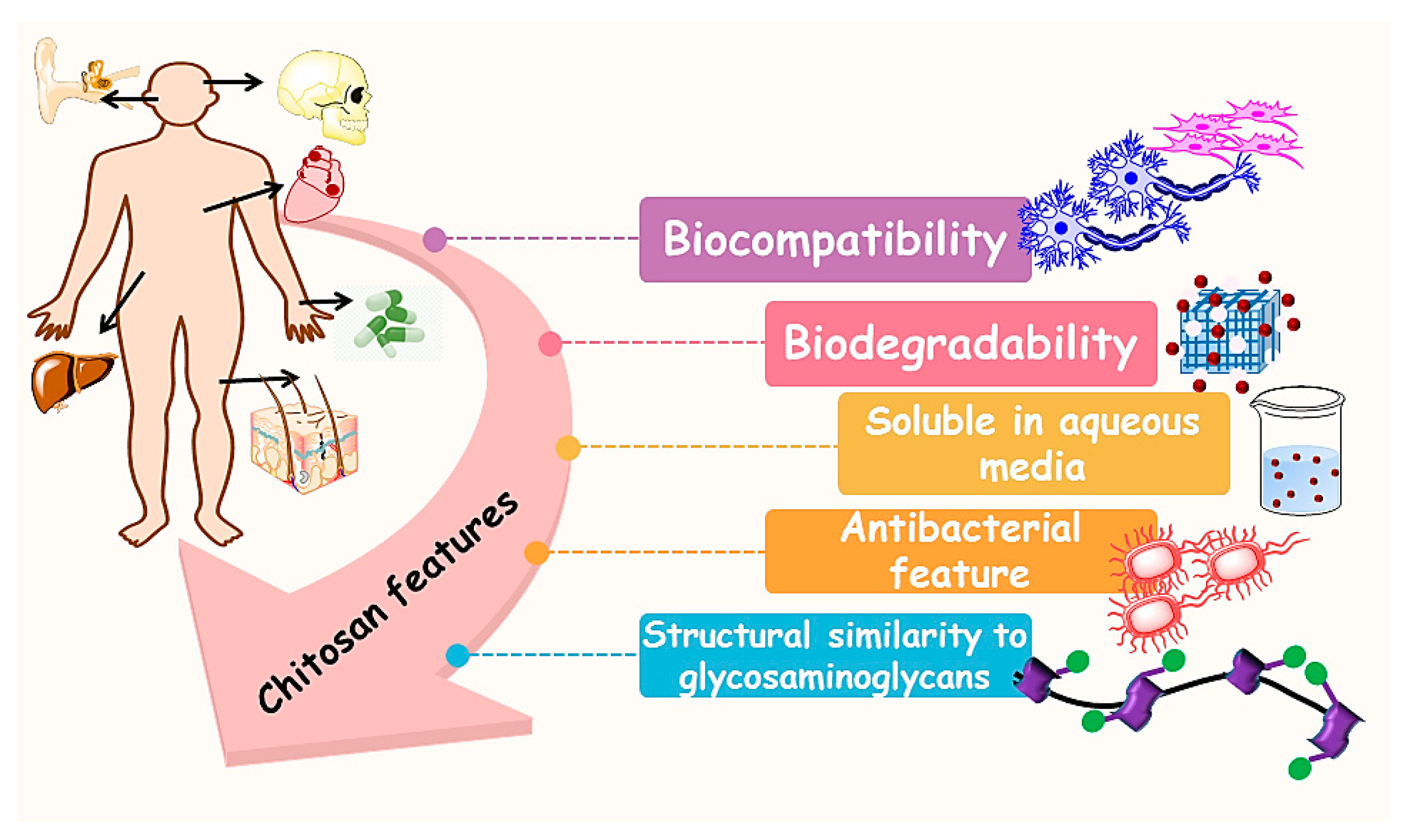 Materials 13 02663 g001 Materials 13 02663 g001