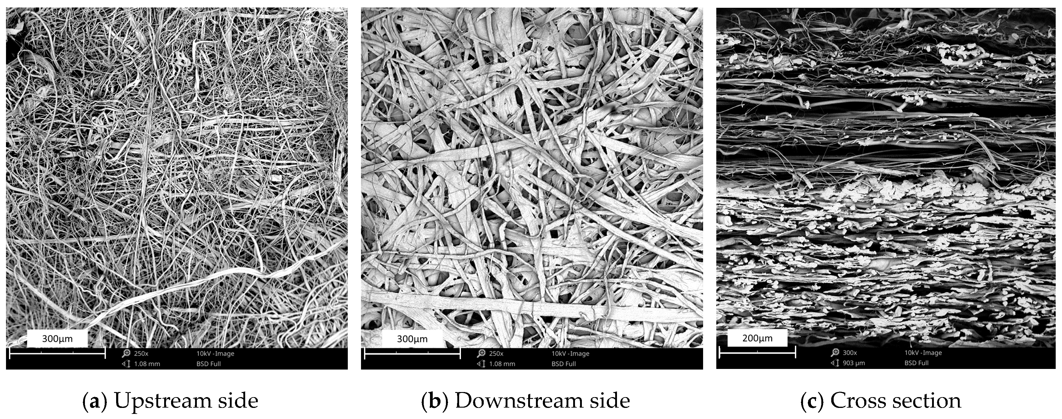Materials 13 02667 g010