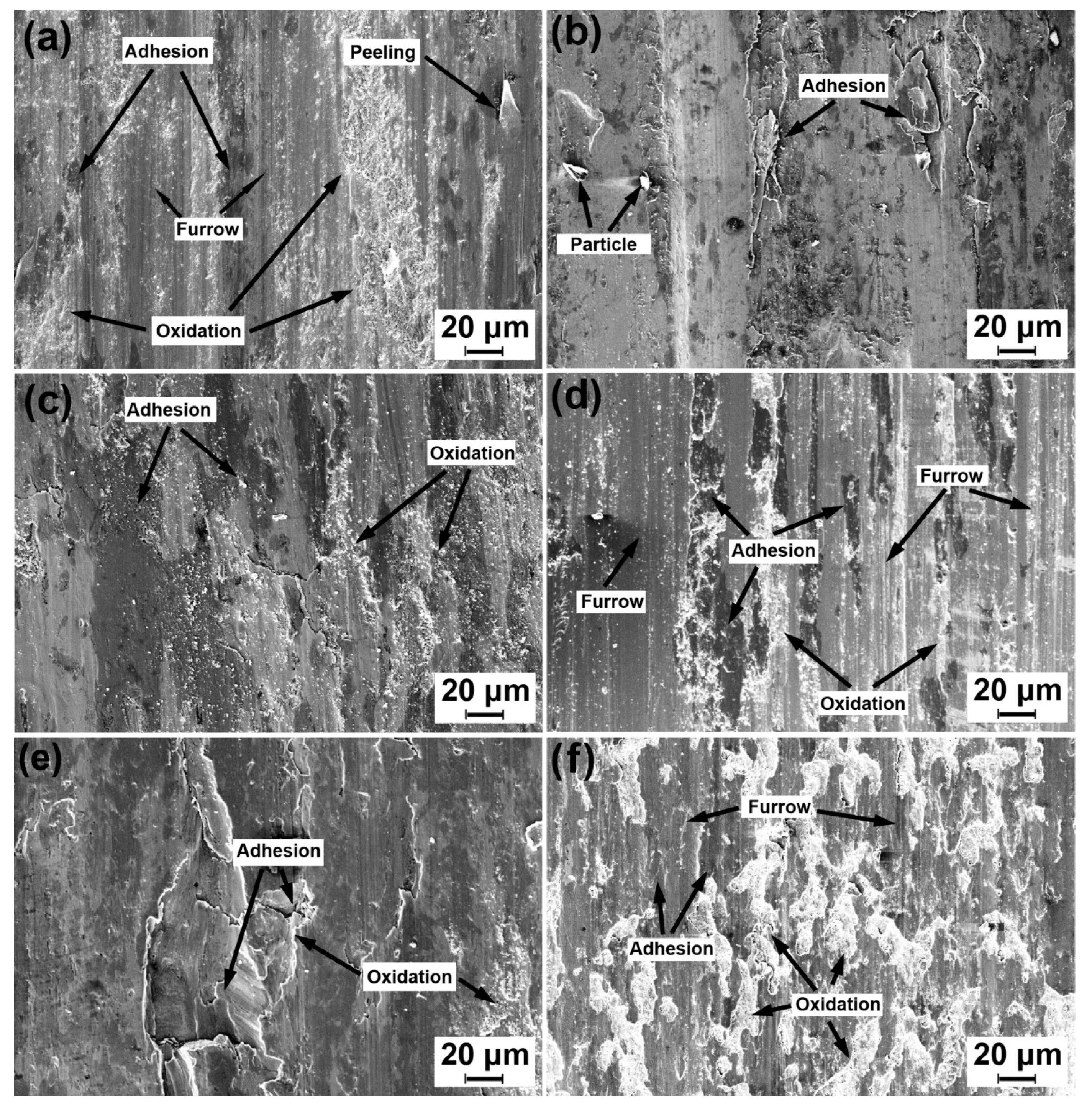 Materials 13 02683 g007