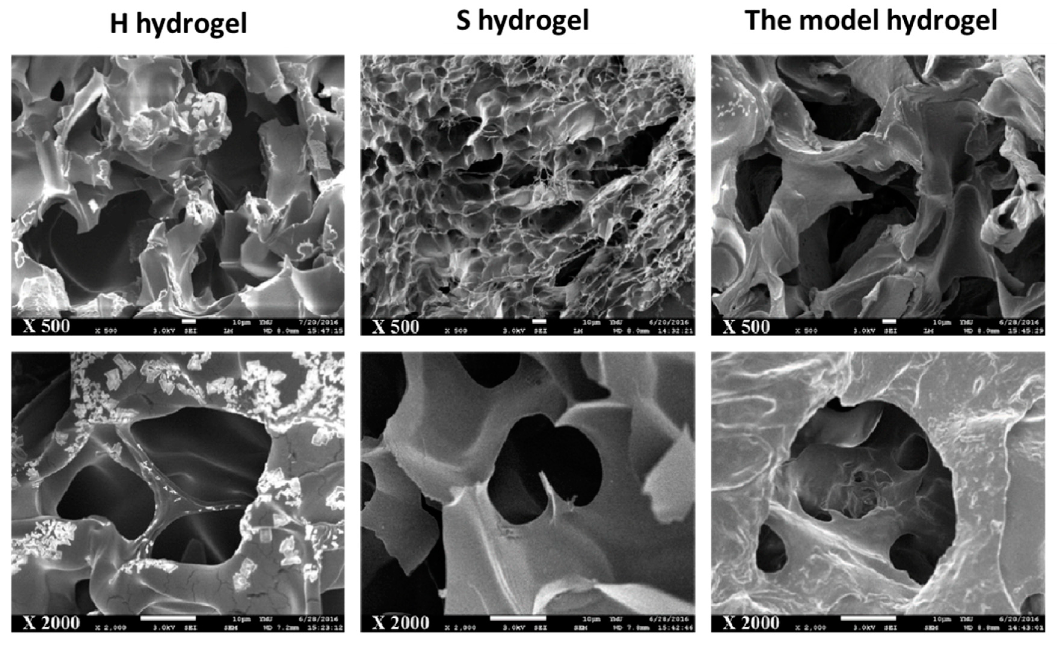 Materials 13 02750 g002