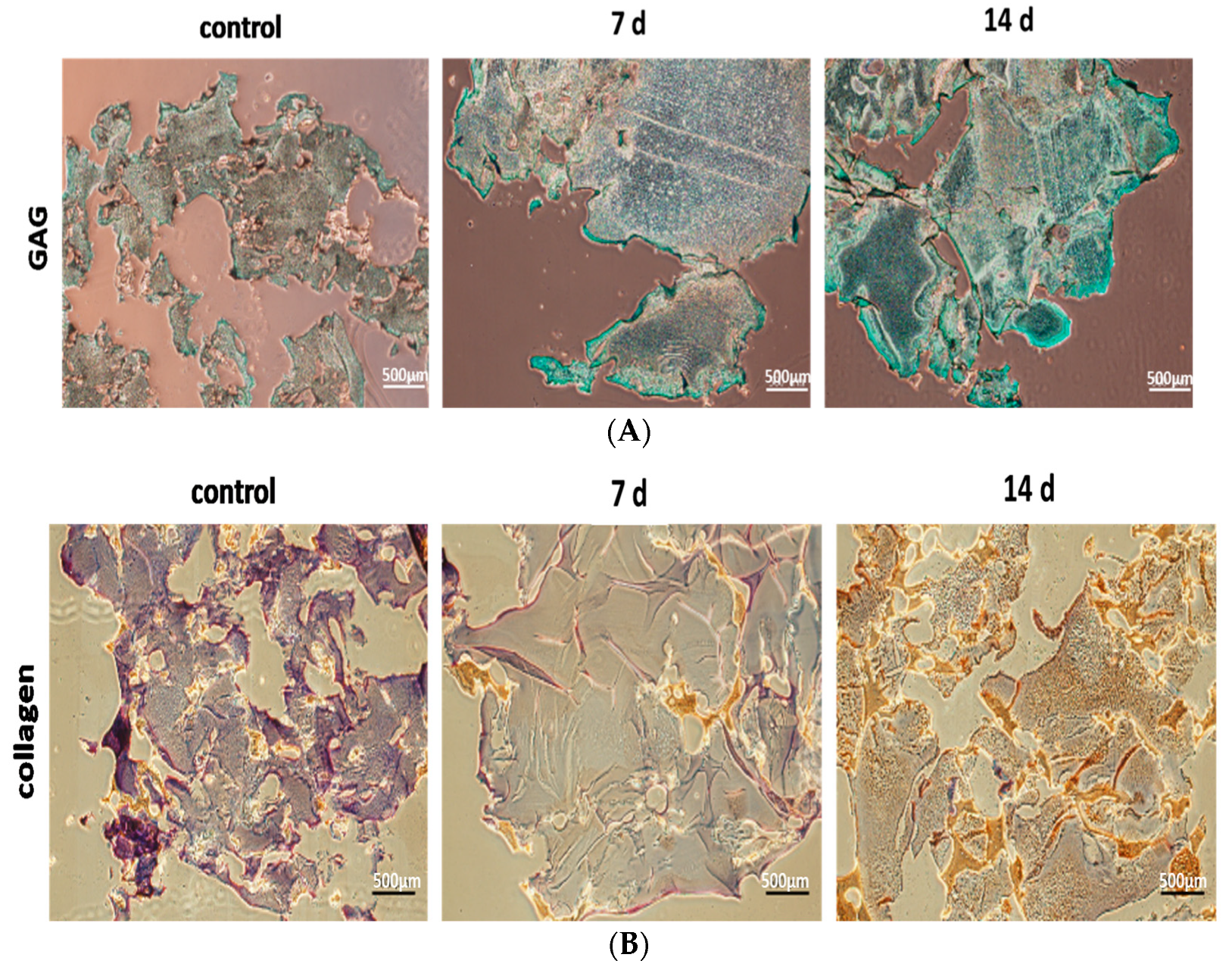 Materials 13 02750 g006