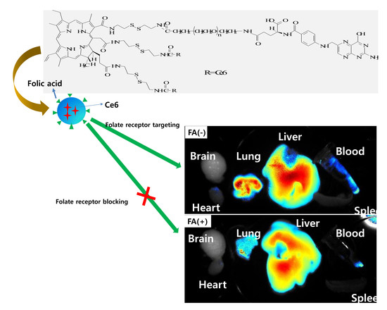 Materials Free FullText Nanophotosensitizers for