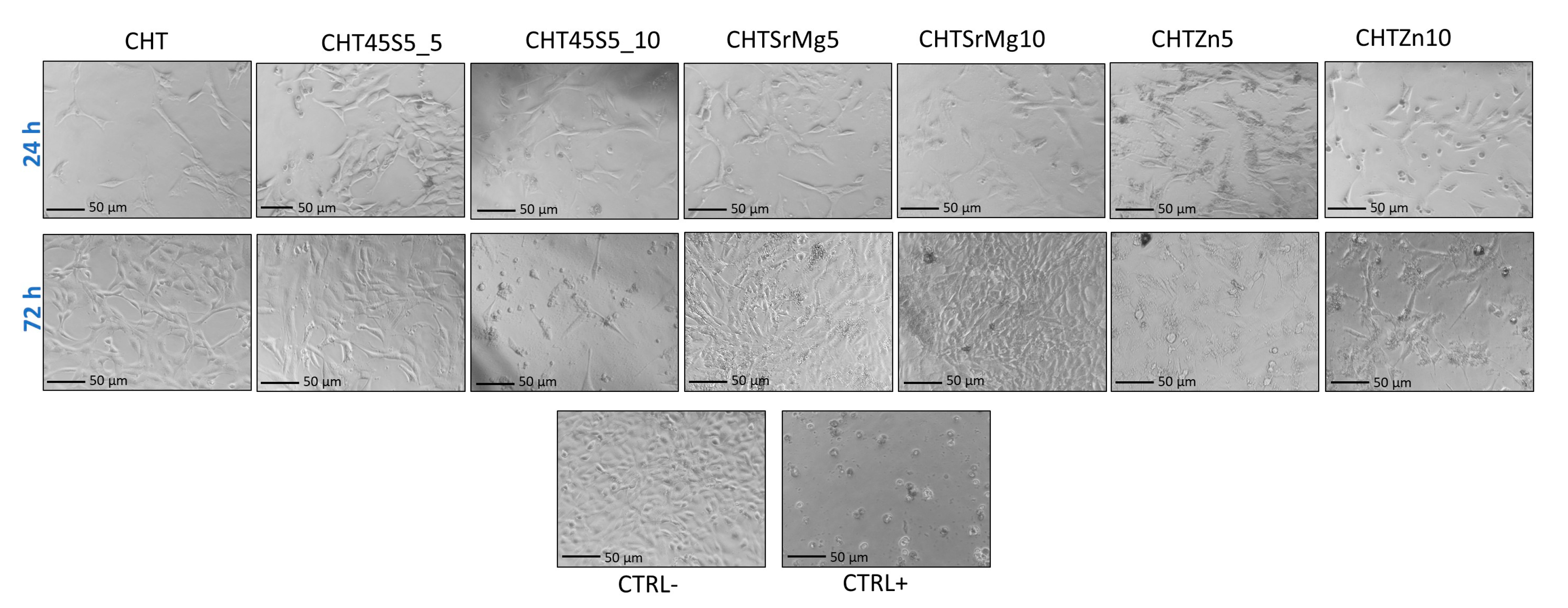 Materials 13 02819 g005