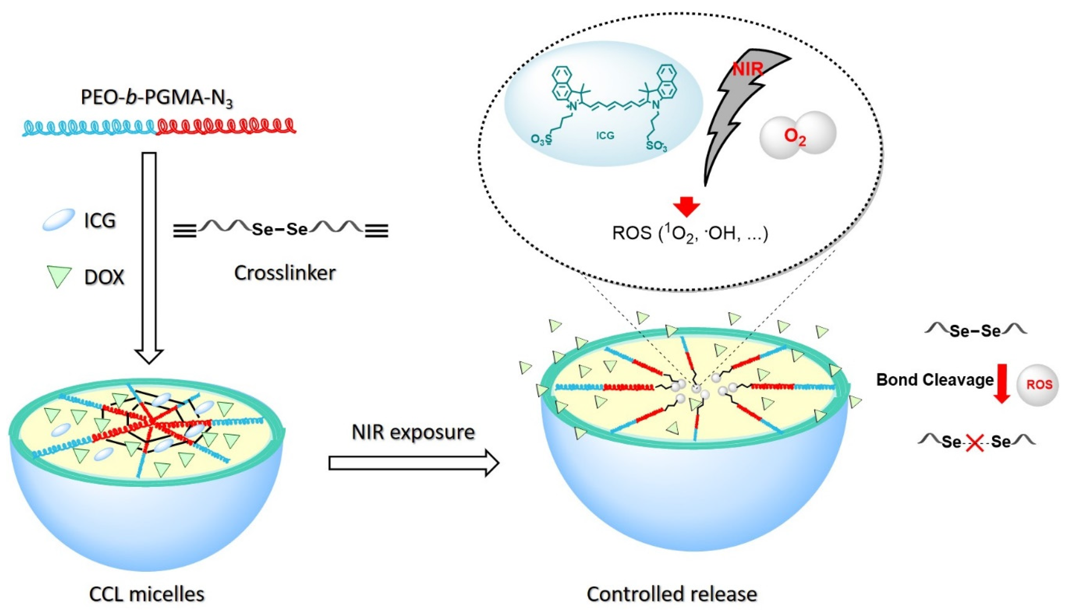 Materials 13 02846 sch001