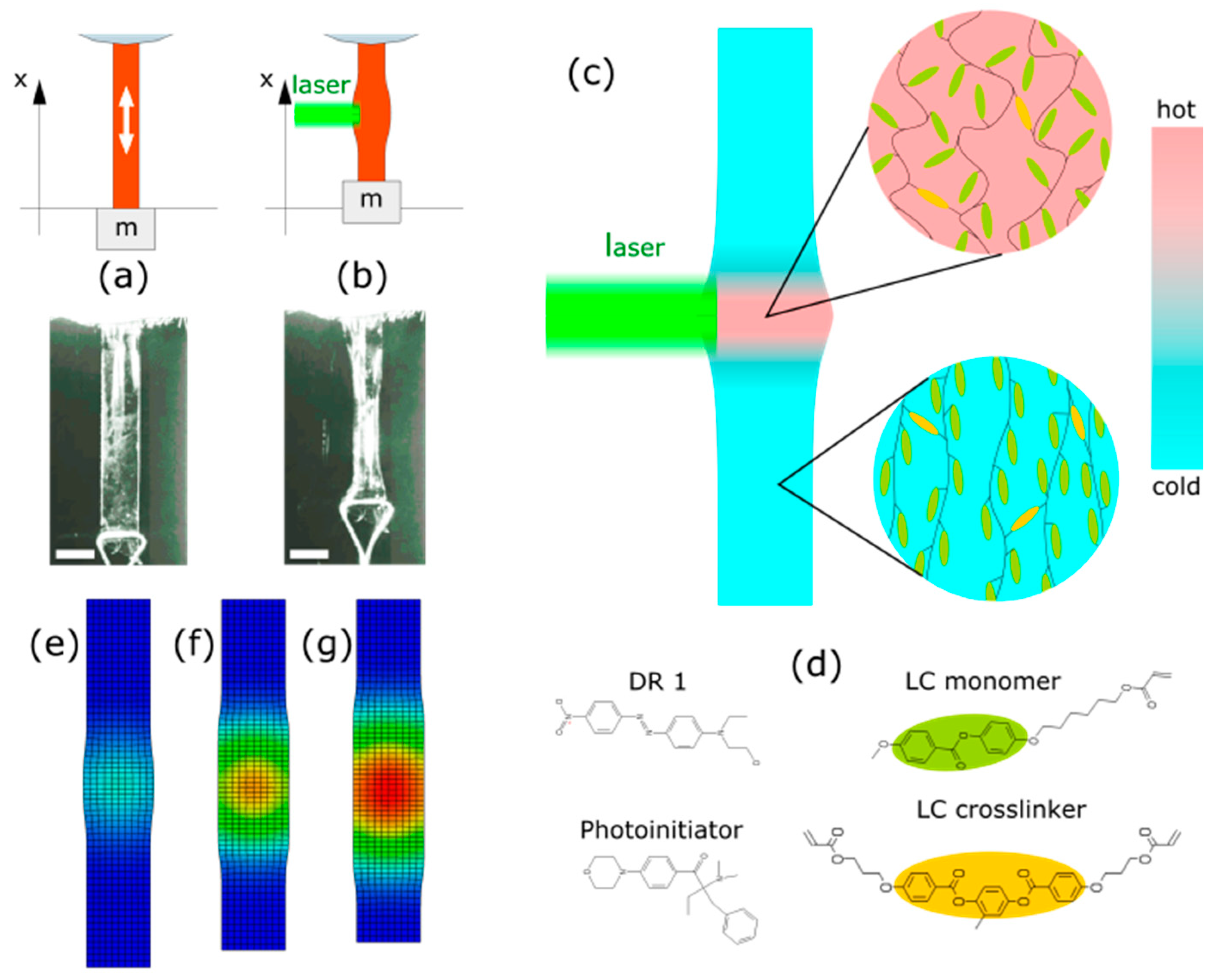 Impact materials. Elastomer раскладка гибрид. Liquid Crystal Elastomers. Electrical Elastomer Matrix. Dynamics of the Liquid State.