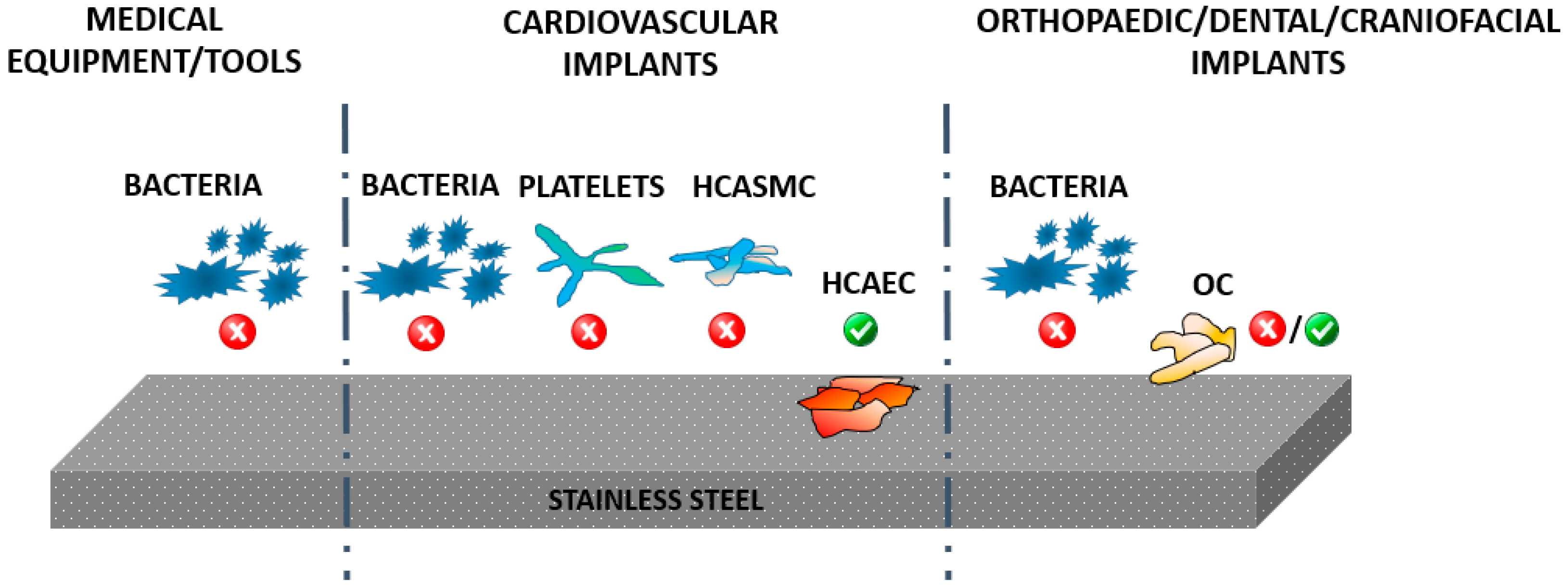 Materials Free Full Text Strategies For Improving Antimicrobial Properties Of Stainless Steel