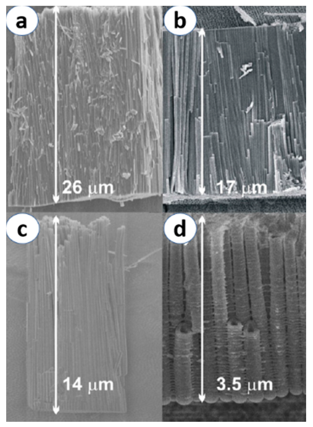 Materials 13 02974 g005