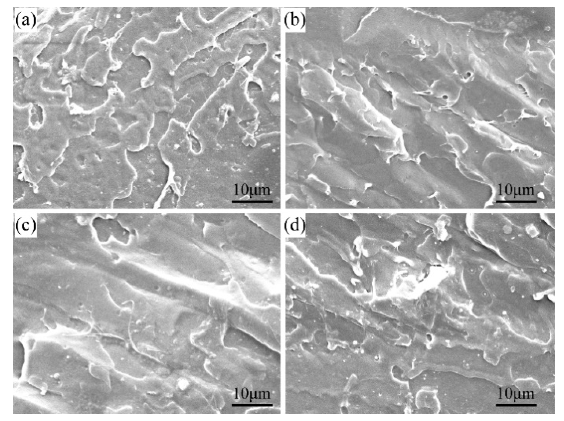 Materials 13 03024 g008