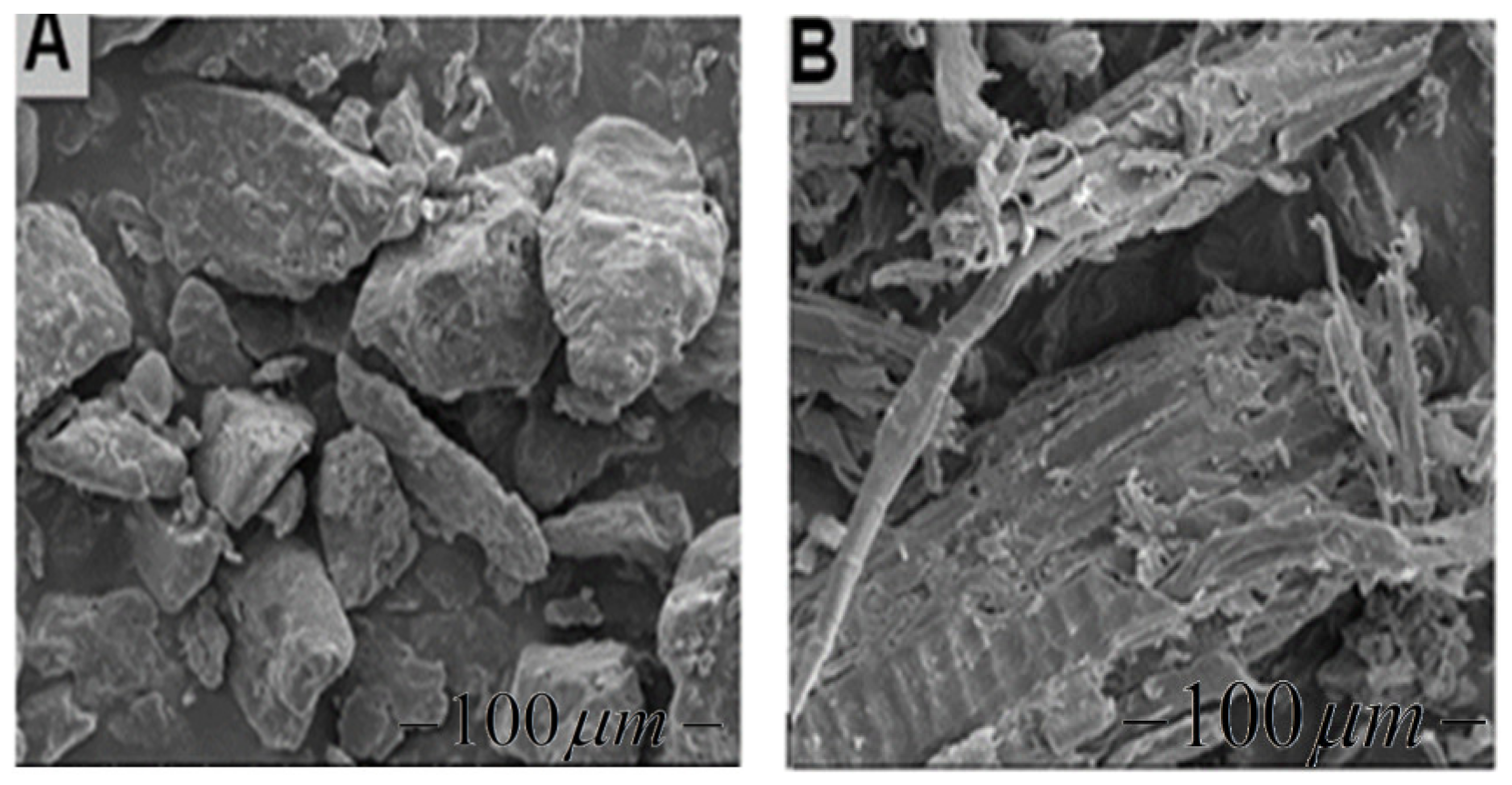 Materials 13 03034 g005