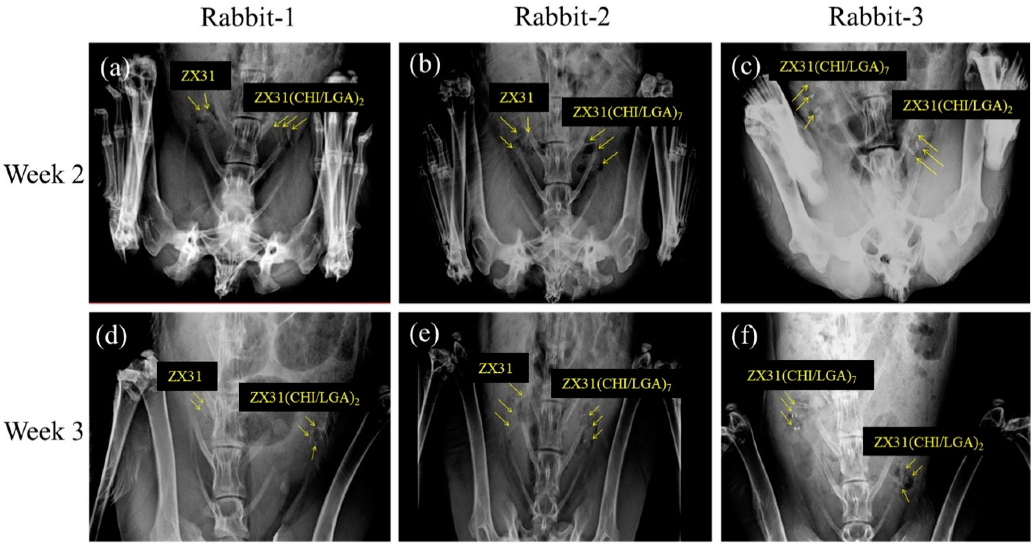 Materials 13 03039 g008