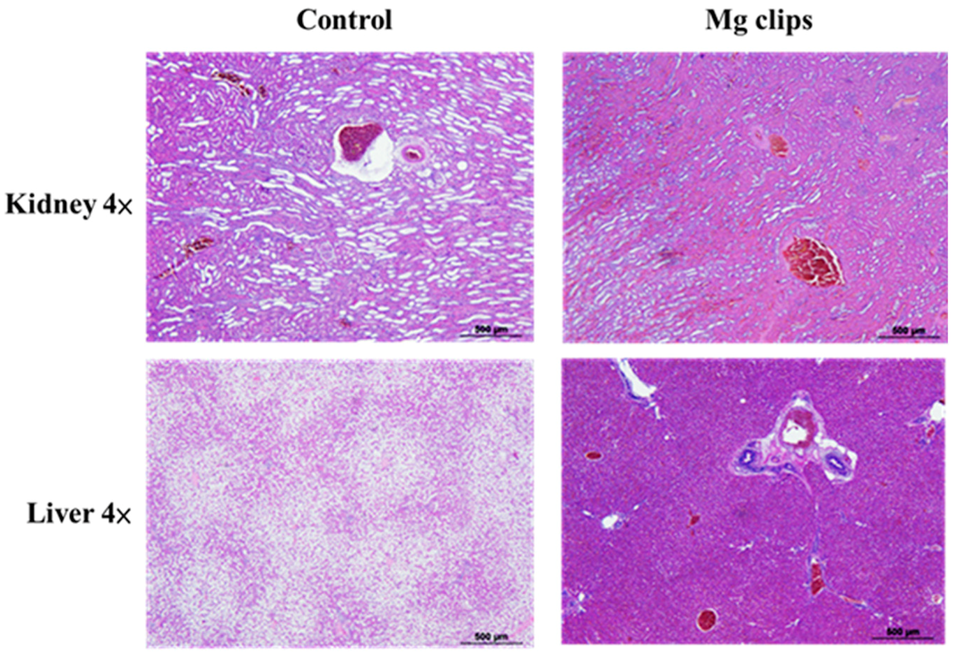Materials 13 03039 g011