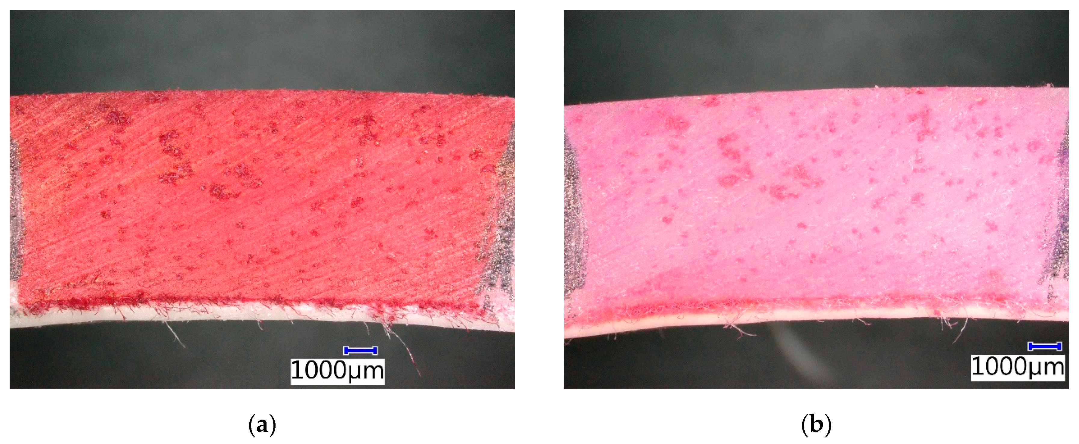 Materials 13 03051 g015