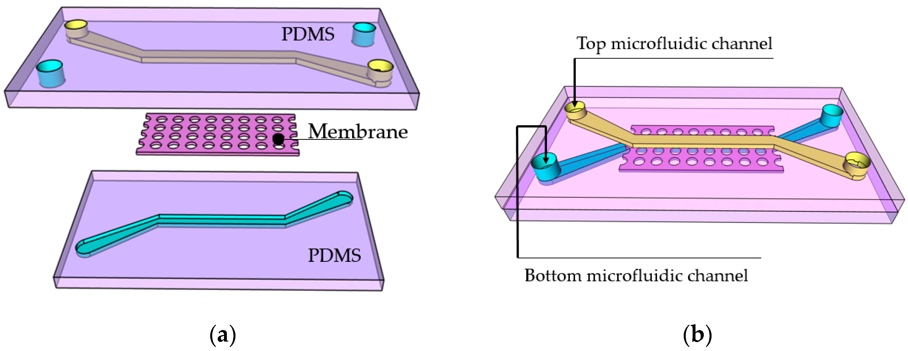 Materials 13 03076 g001