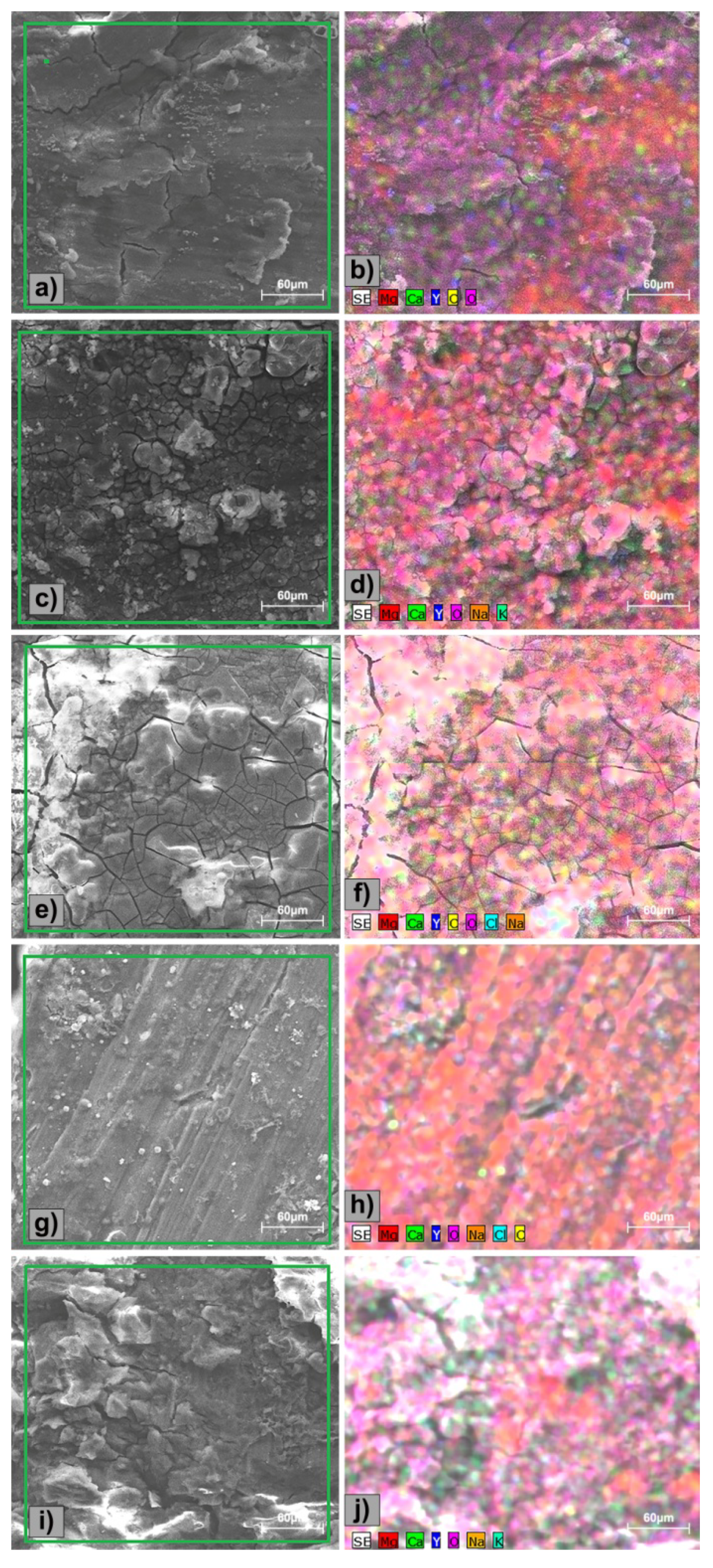 Materials Free Full Text Electrochemical Analysis And In Vitro Assay Of Mg 0 5ca Xy Biodegradable Alloys Html