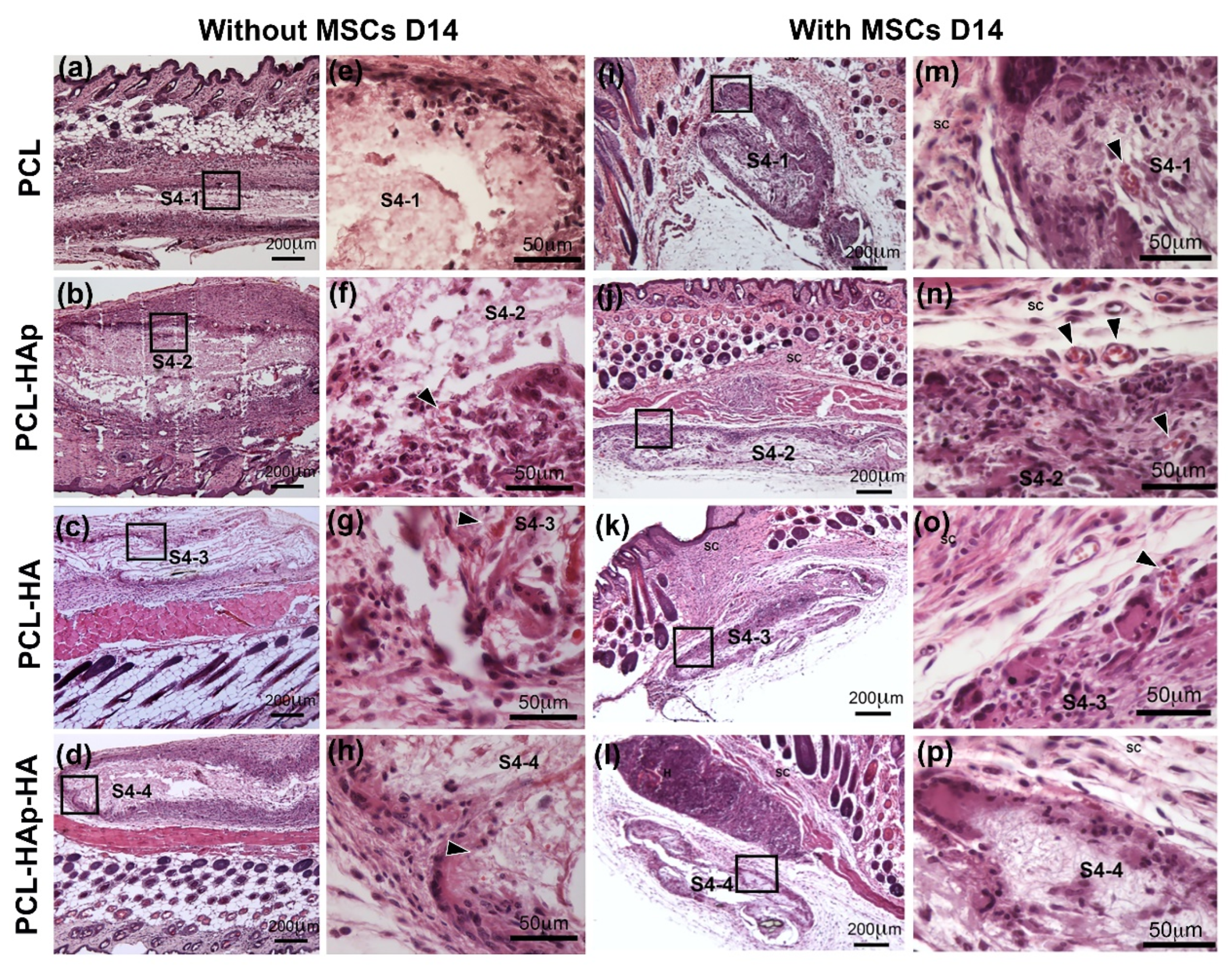 Materials 13 03087 g006