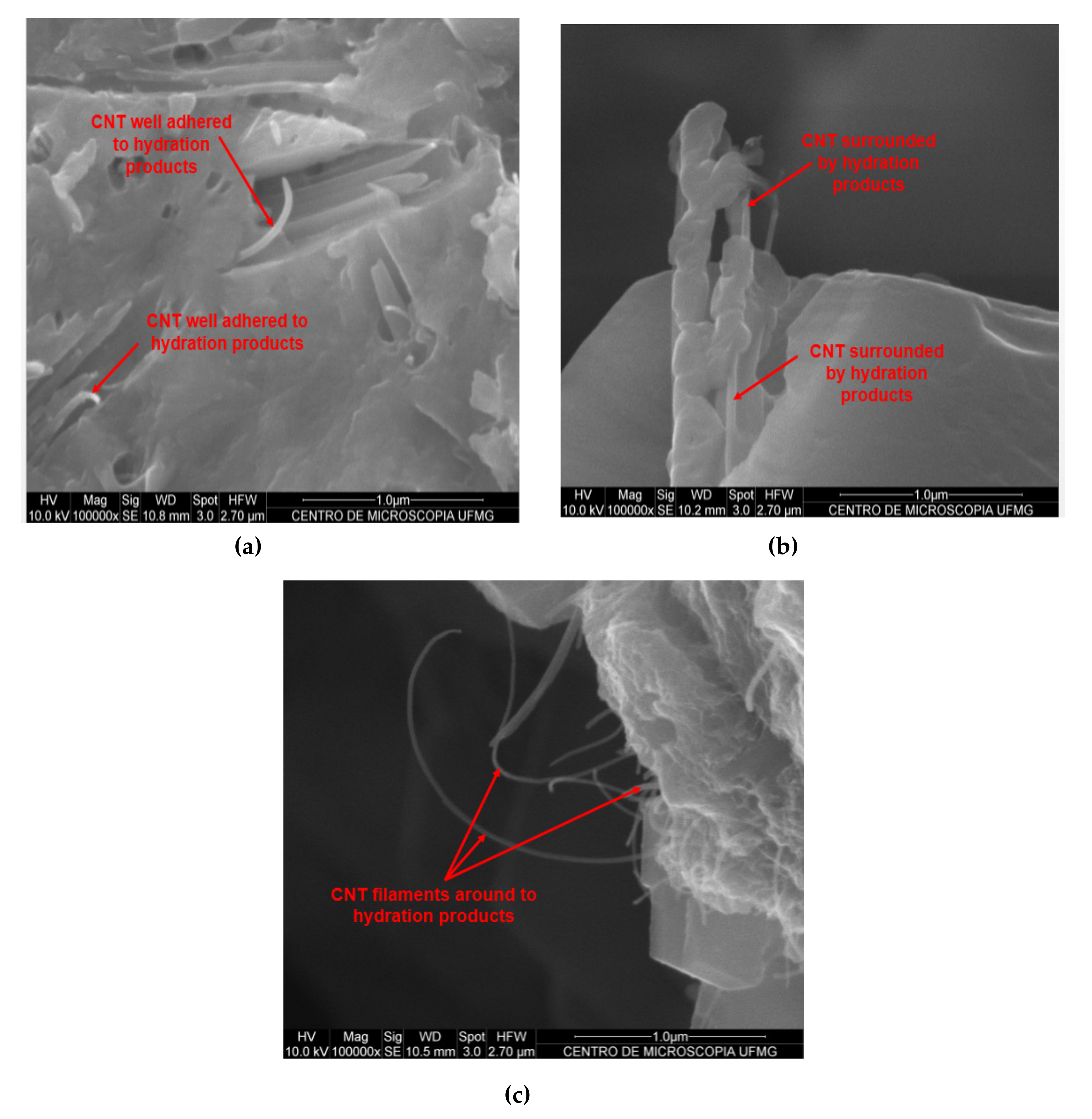 Materials Free Full Text Influence Of Carbon Nanotubes On The Mechanical Behavior And Porosity Of Cement Pastes Prepared By A Dispersion On Cement Particles In Isopropanol Suspension Html