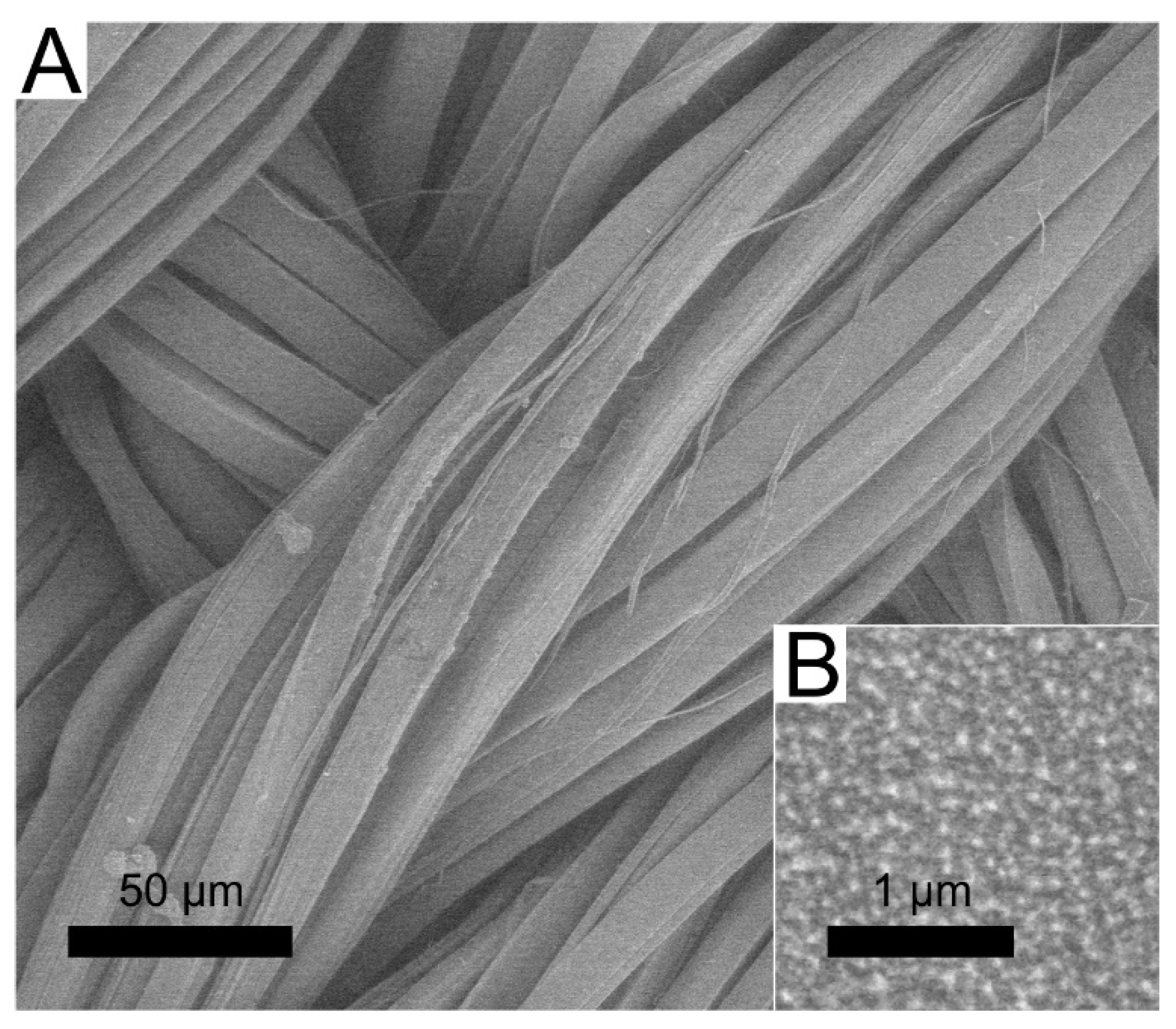 Materials 13 03180 g001