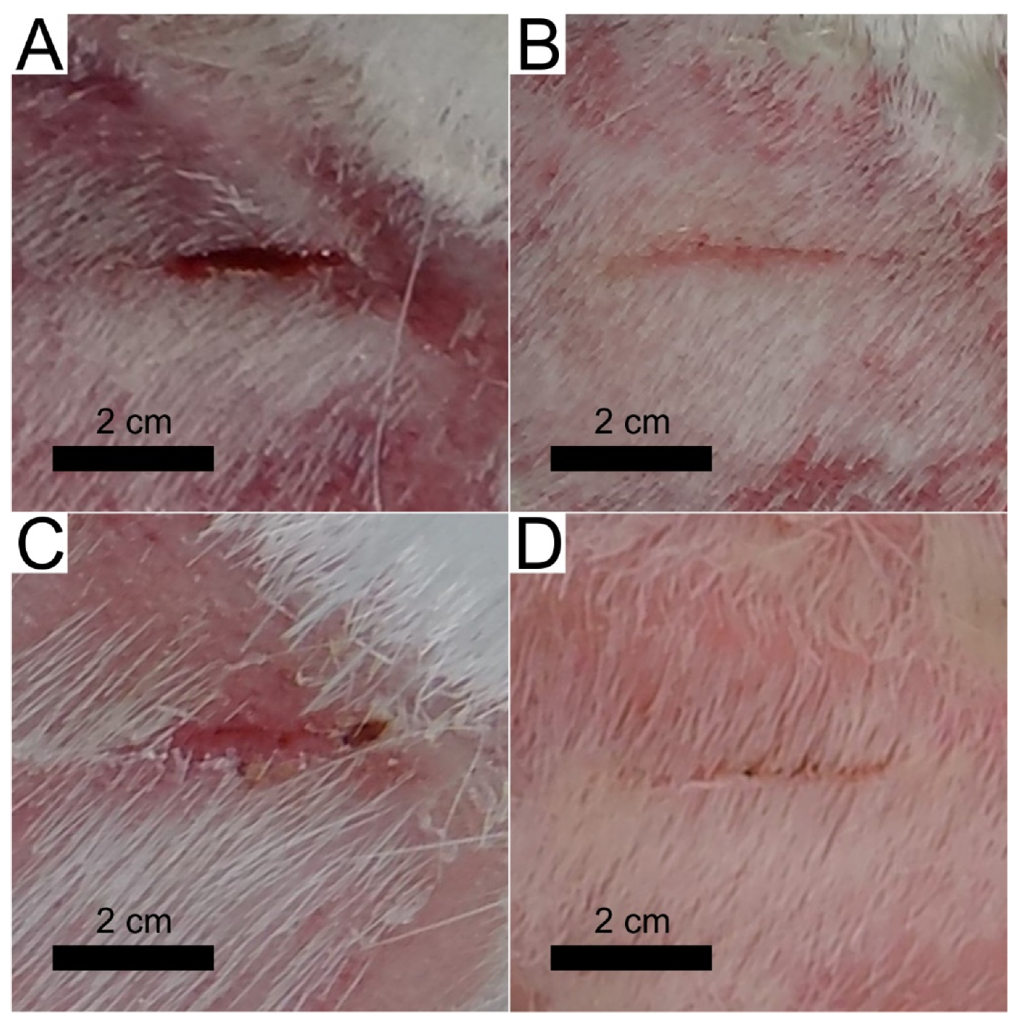 Materials 13 03180 g006