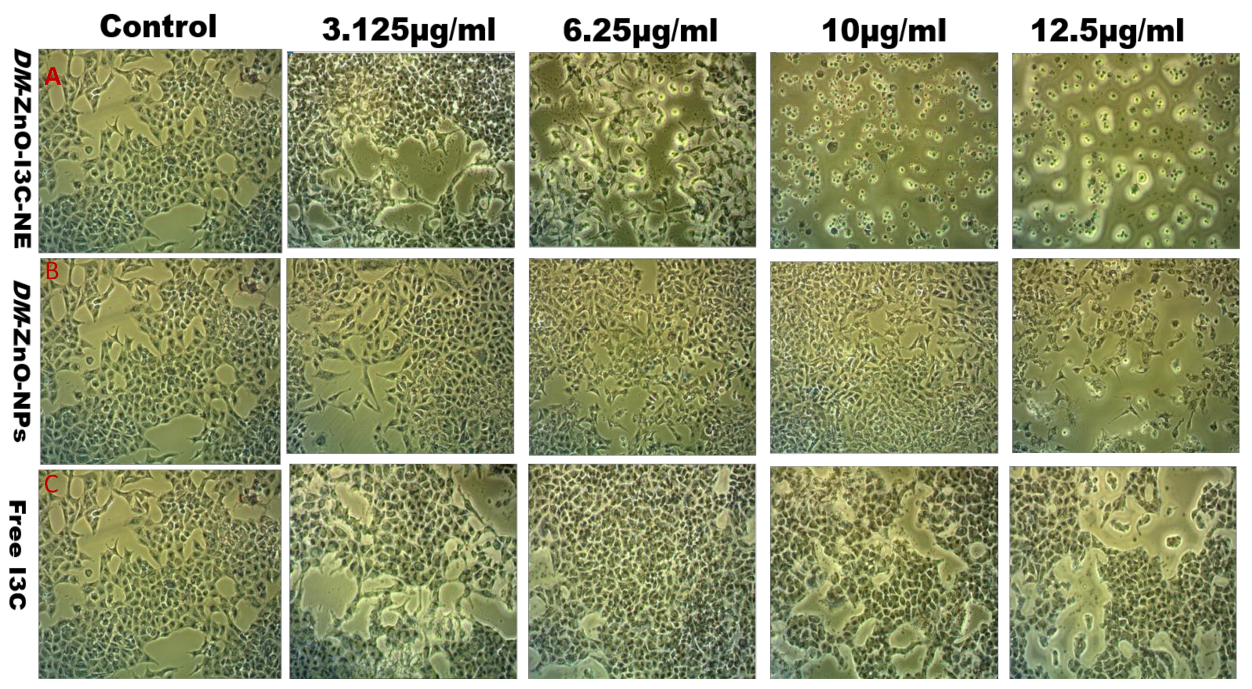 Materials 13 03197 g010
