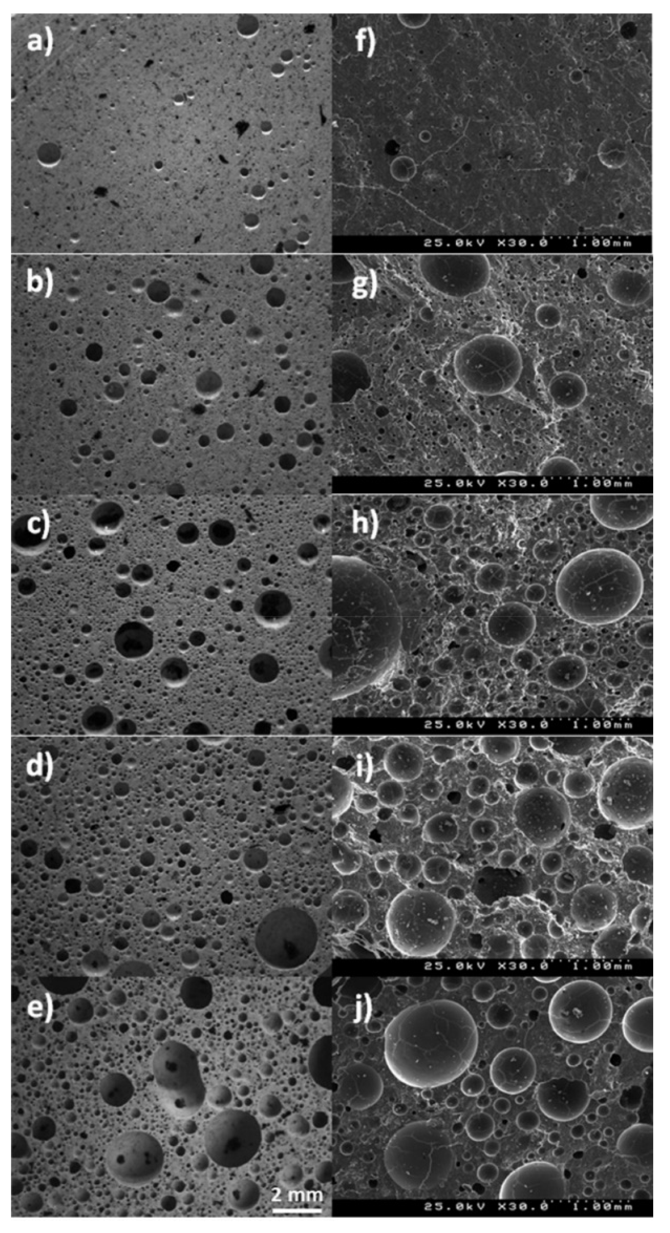 Materials 13 03198 g006