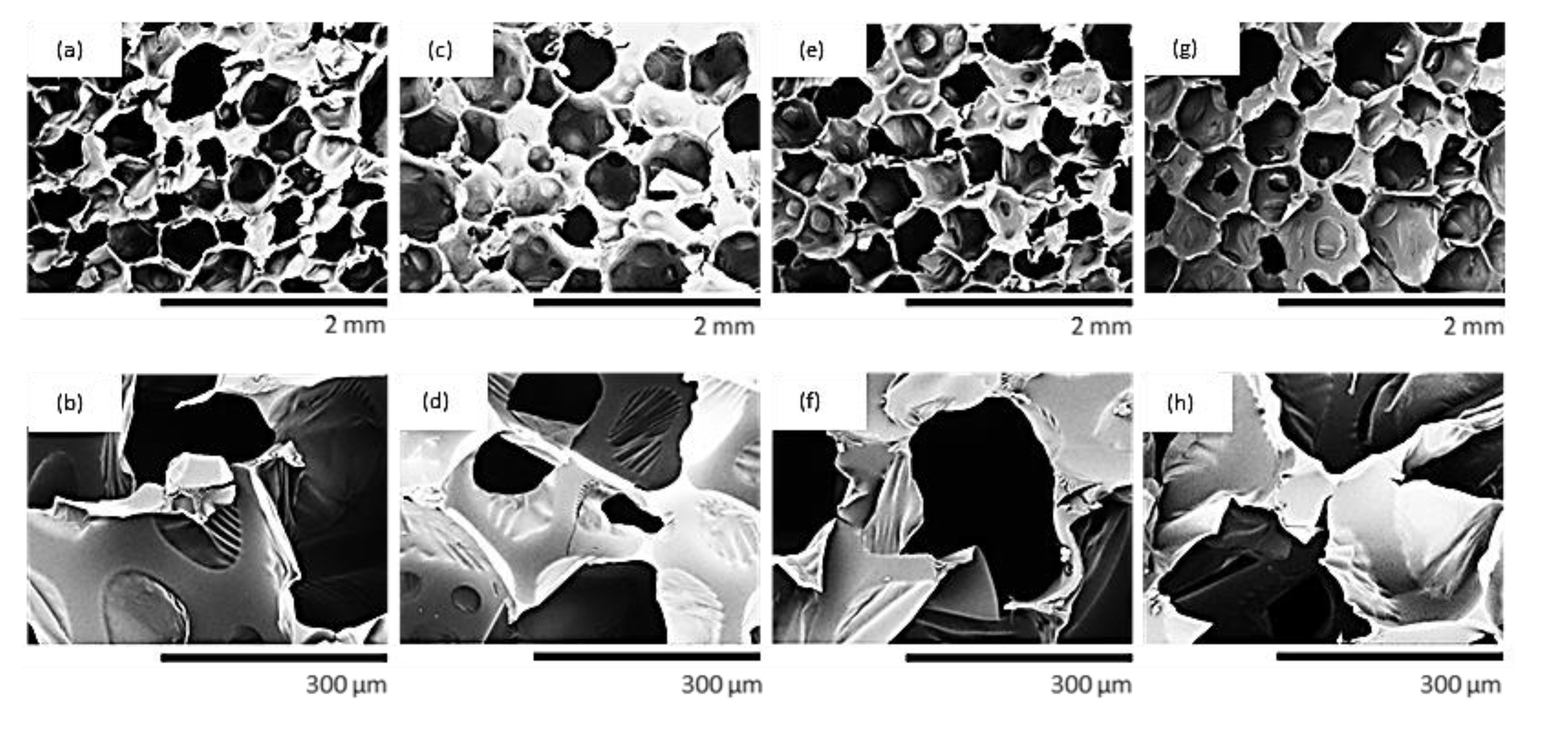 Materials 13 03245 g005