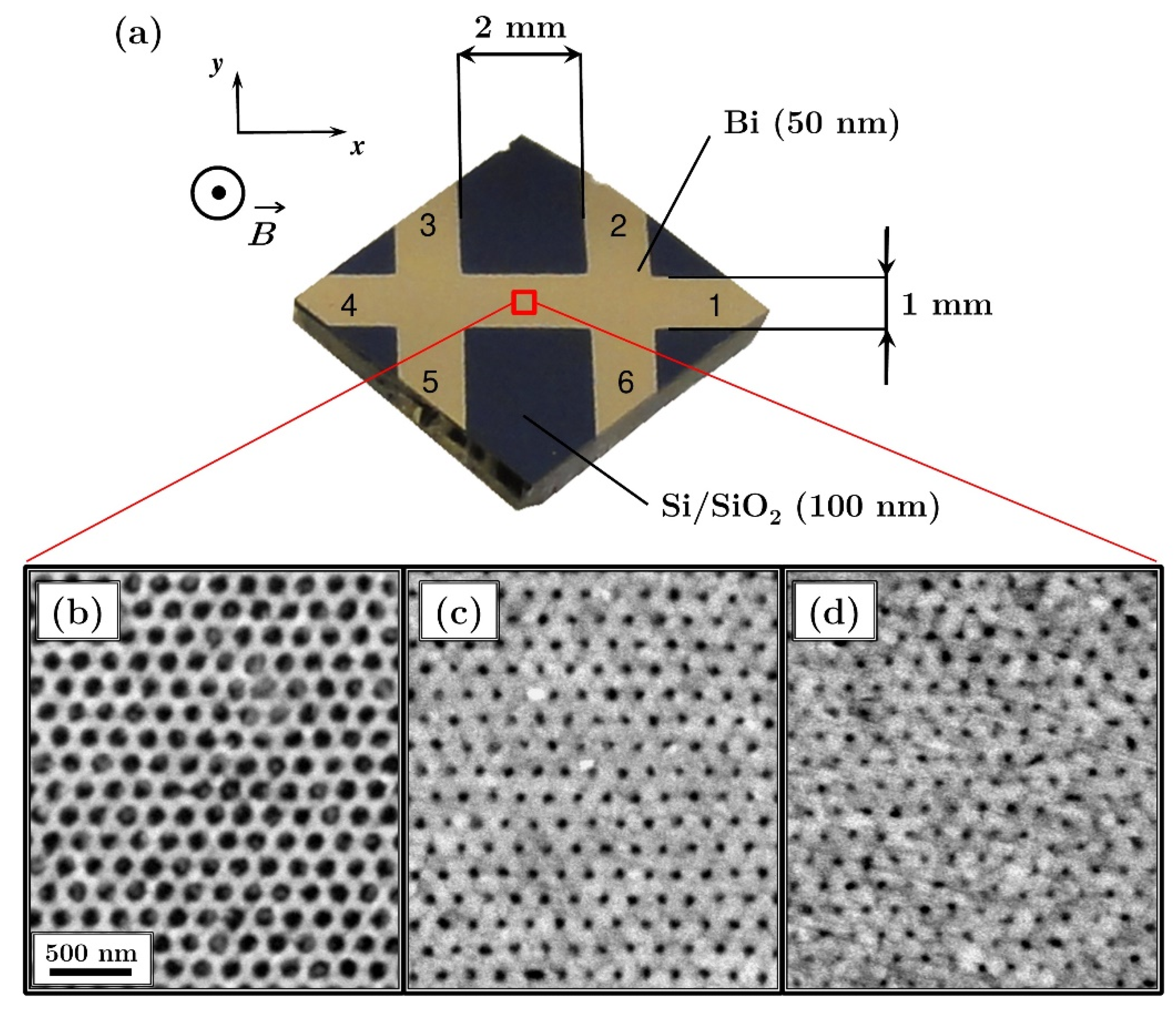 Materials 13 03246 g001