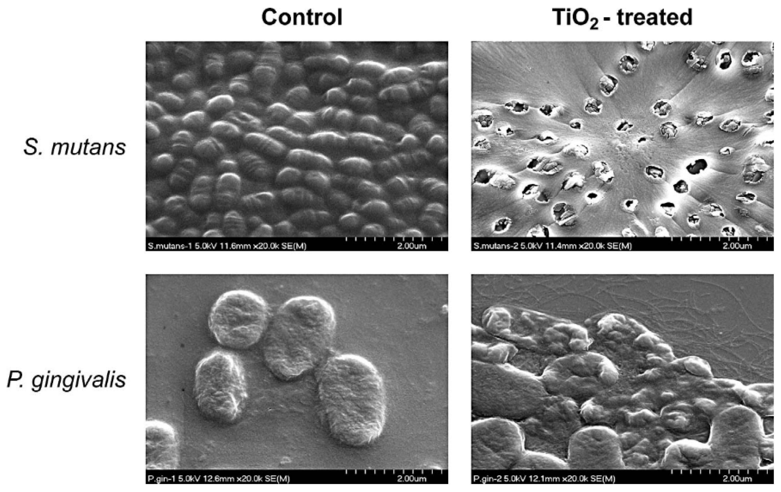 Materials 13 03257 g005