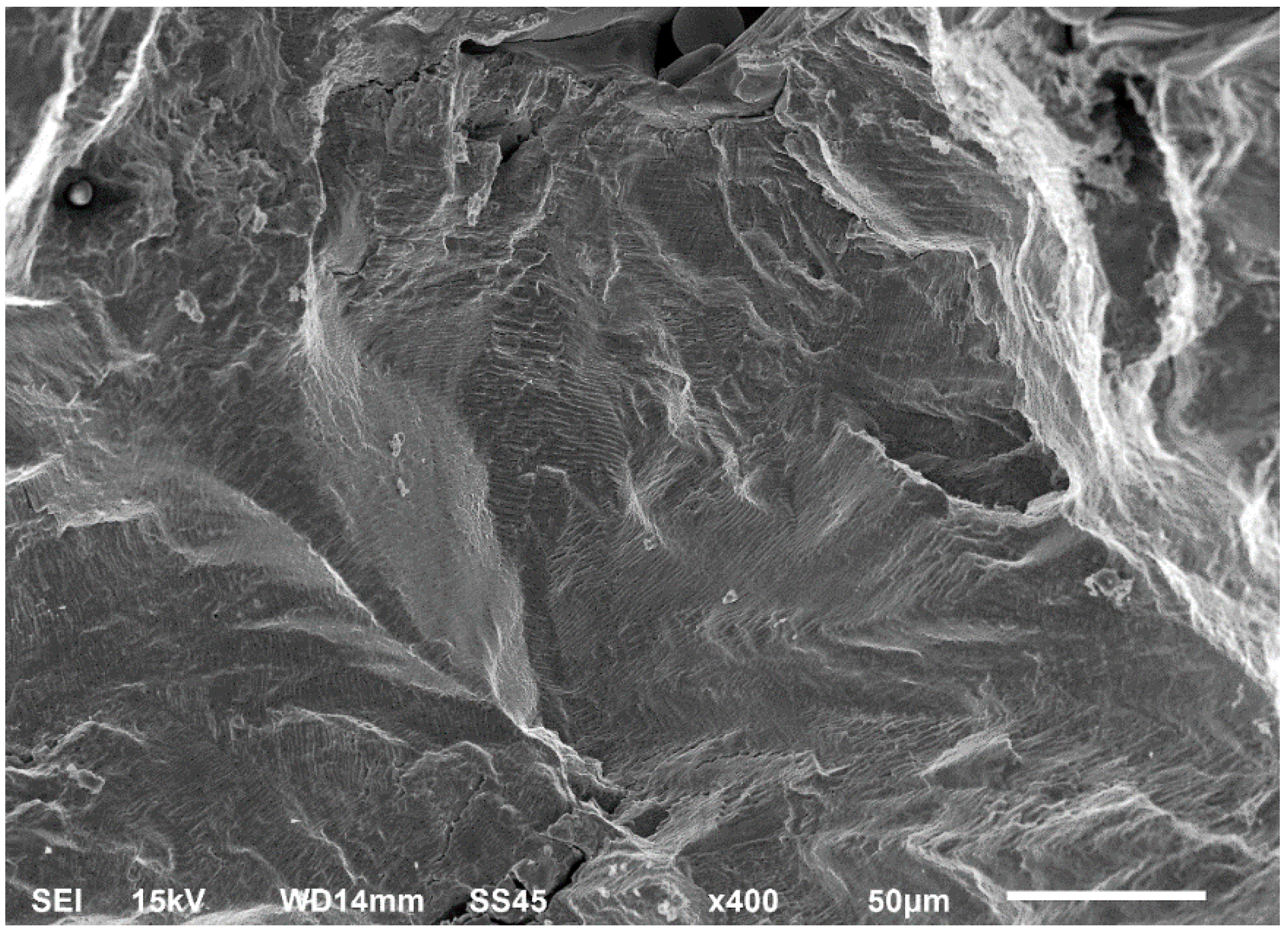 Materials 13 03259 g006 Materials 13 03259 g006