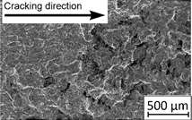 Materials 13 03259 i016 Materials 13 03259 i016
