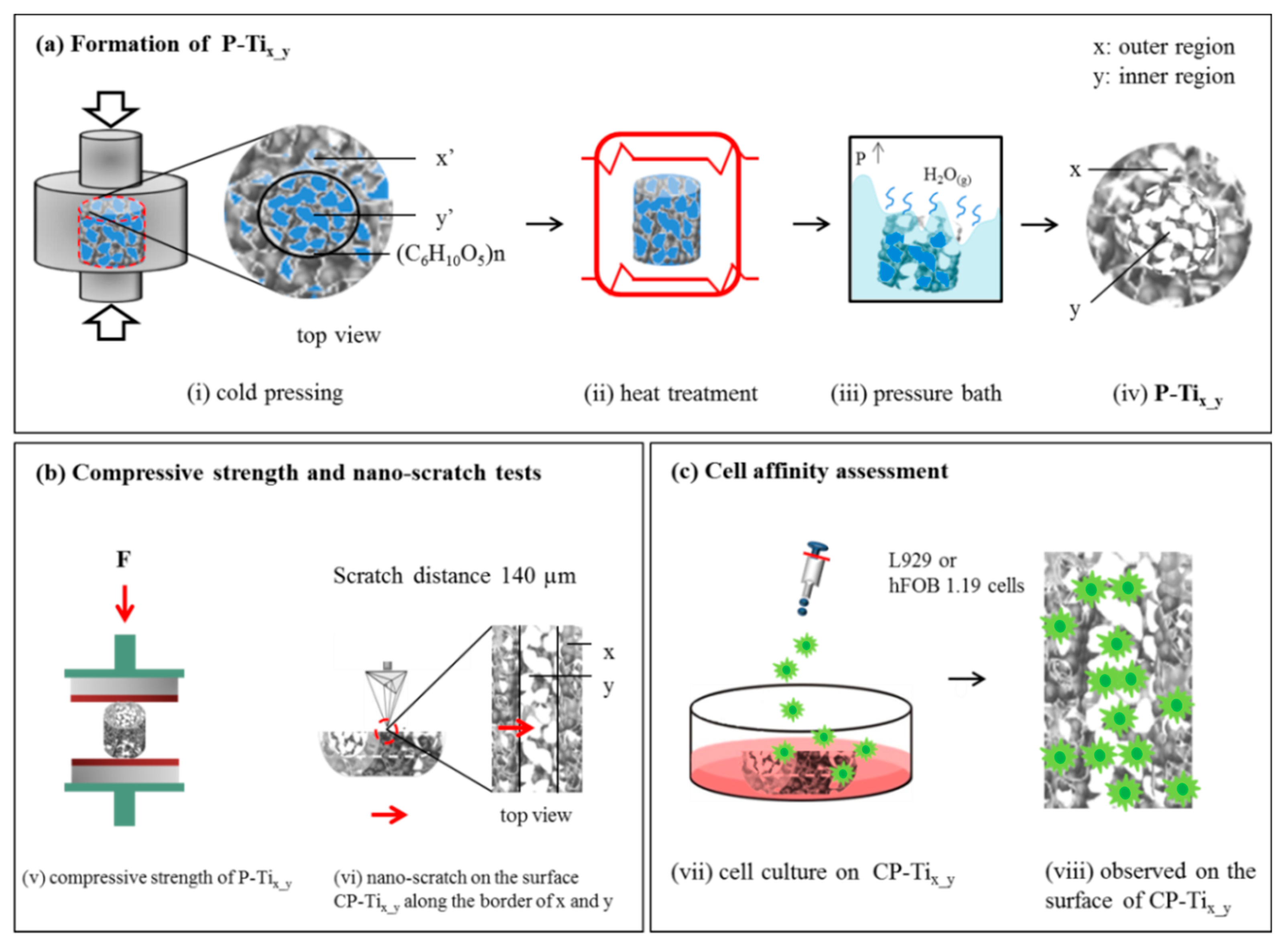 Materials 13 03316 g001