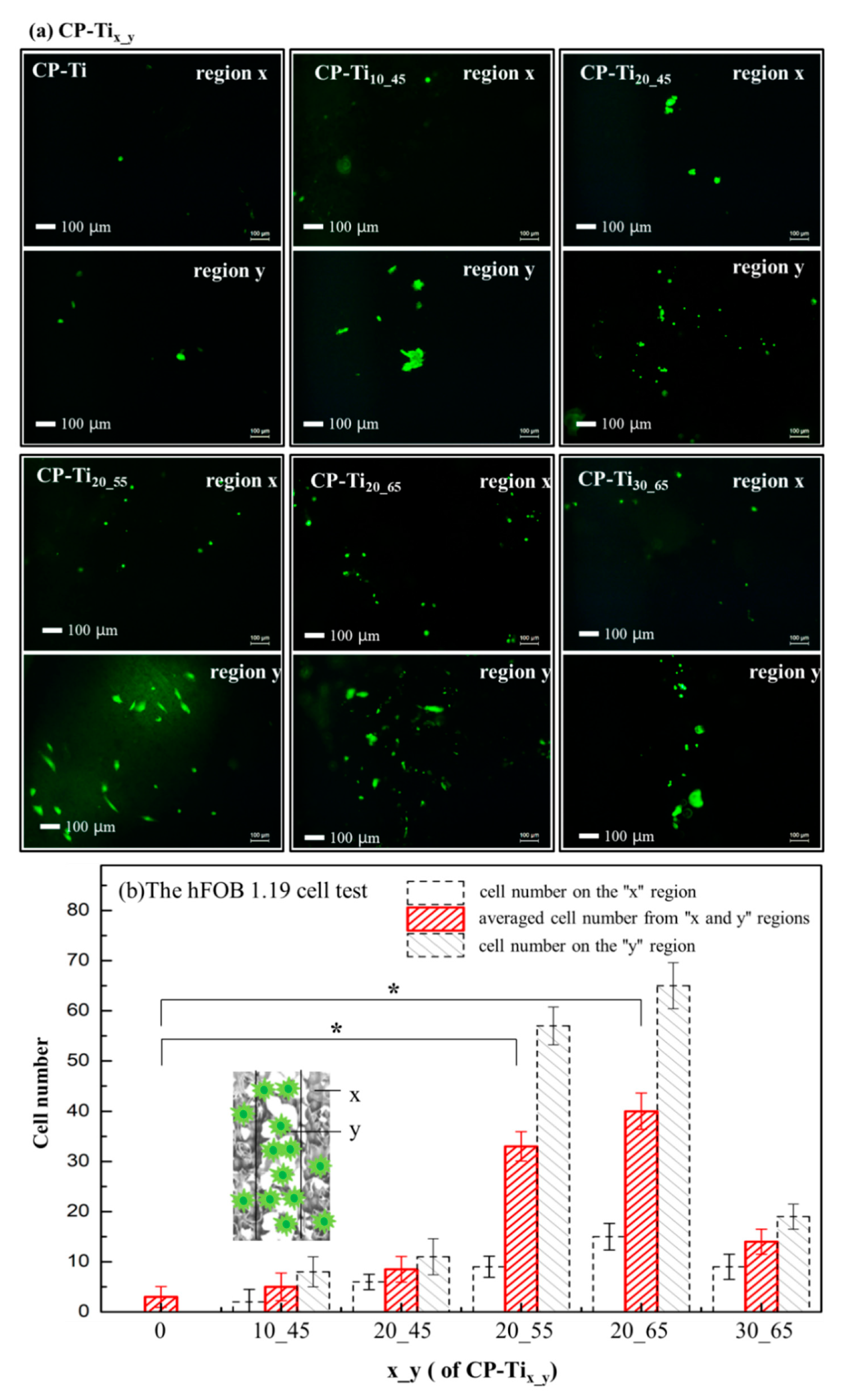 Materials 13 03316 g007