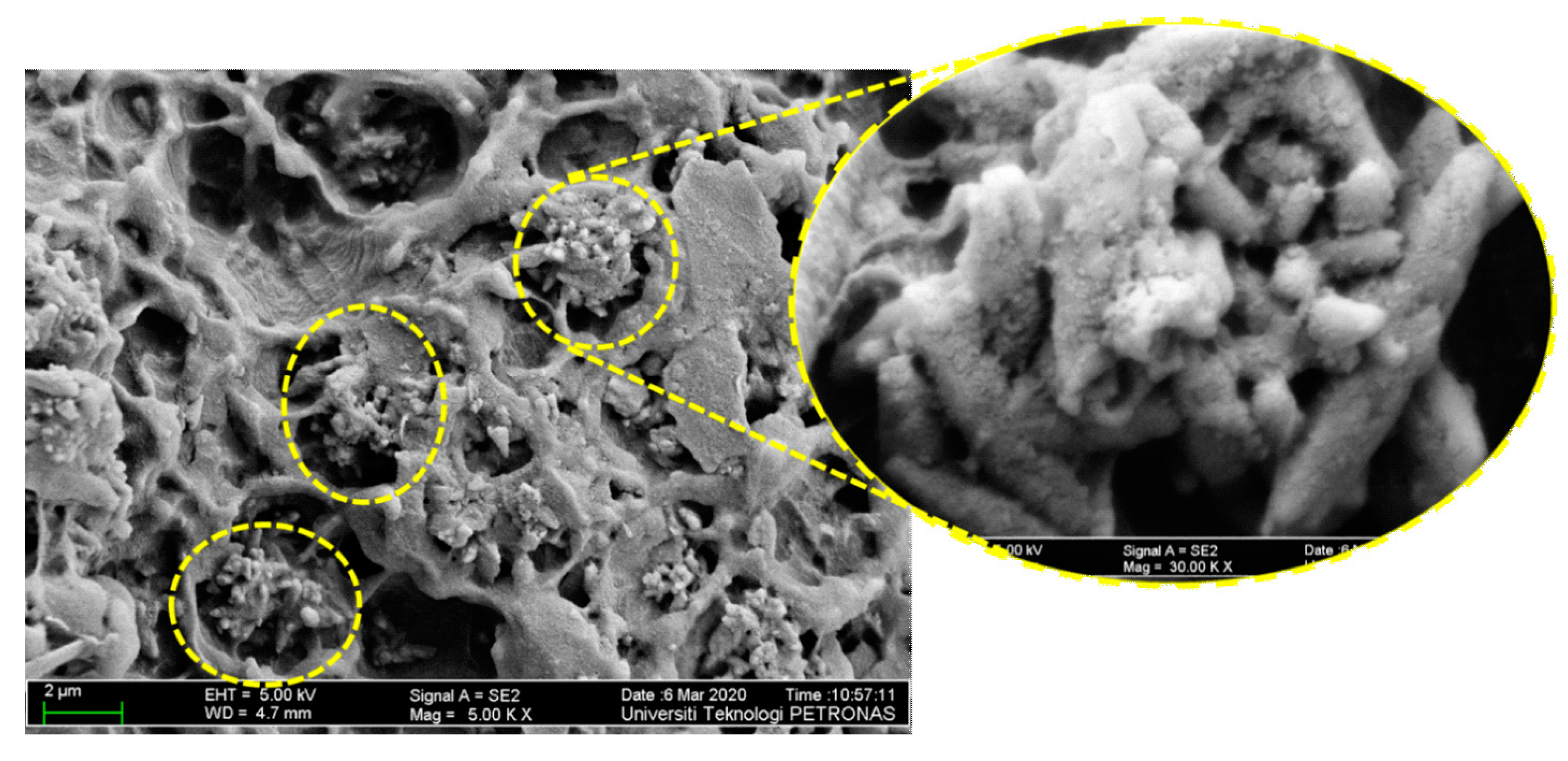 Materials 13 03333 g008