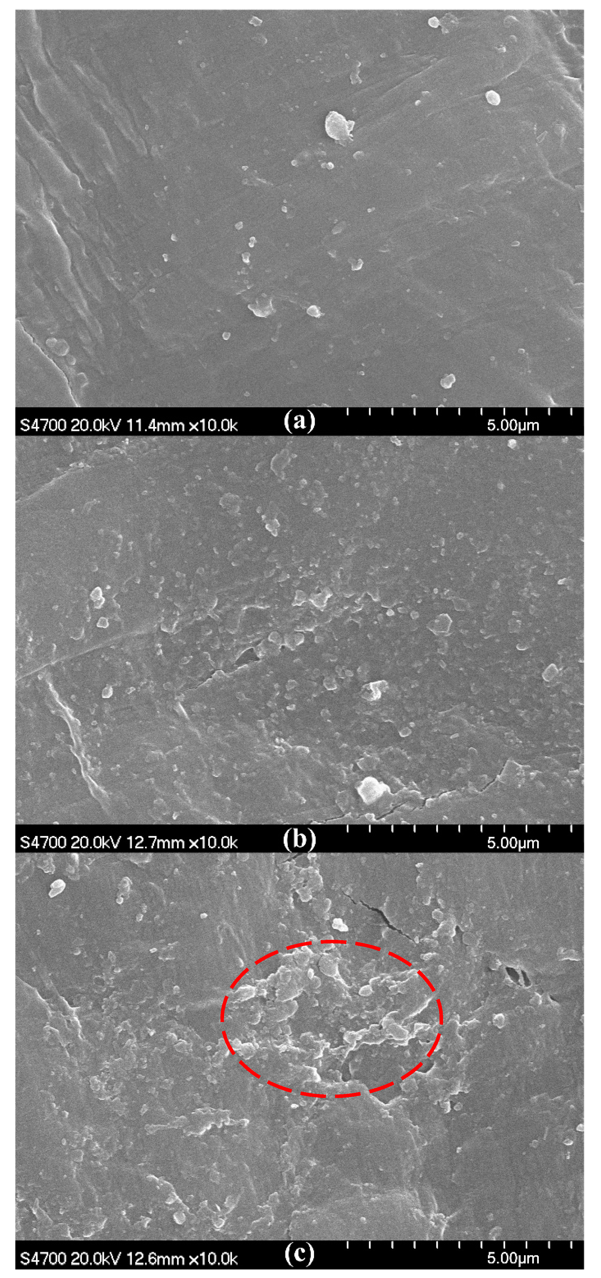 Materials 13 03342 g003 Materials 13 03342 g003