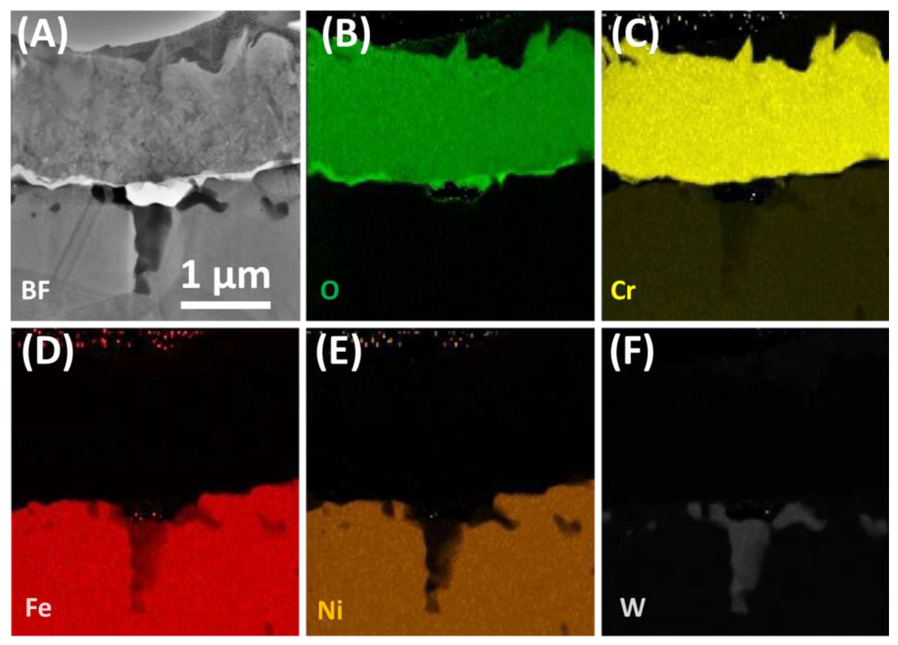 Materials 13 03382 g007