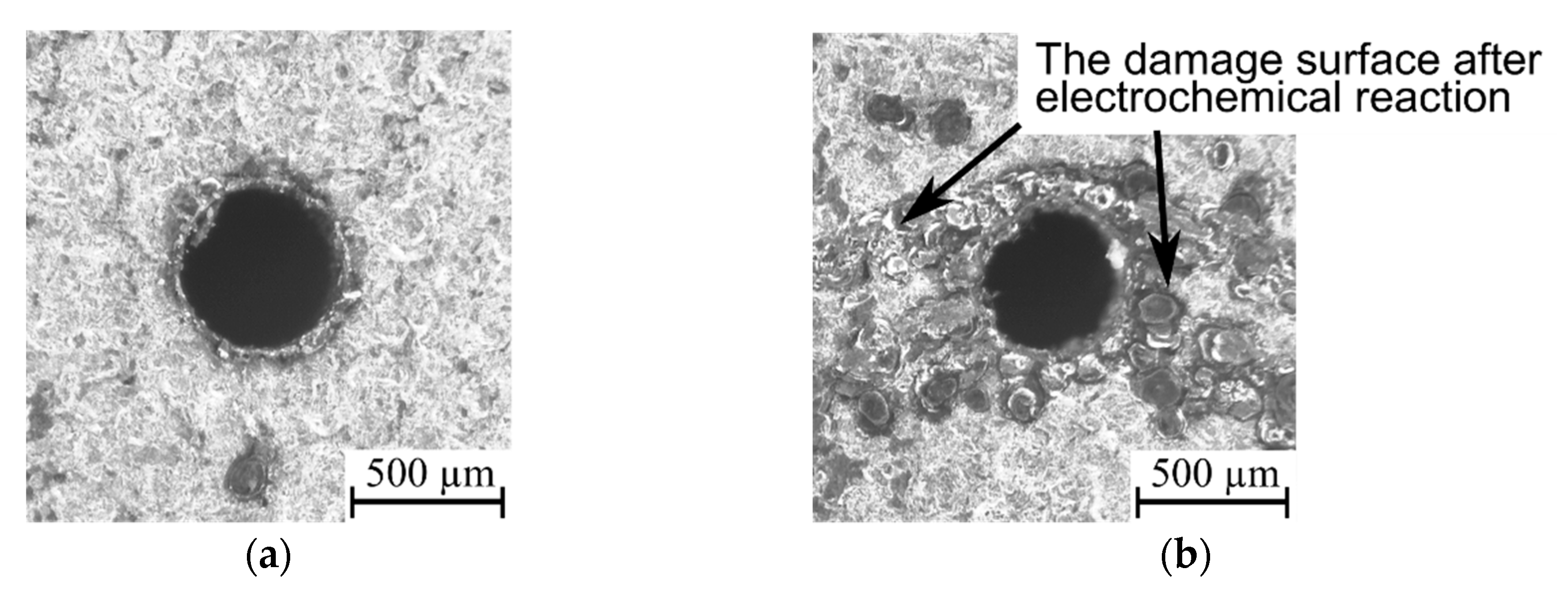 Materials 13 03392 g015