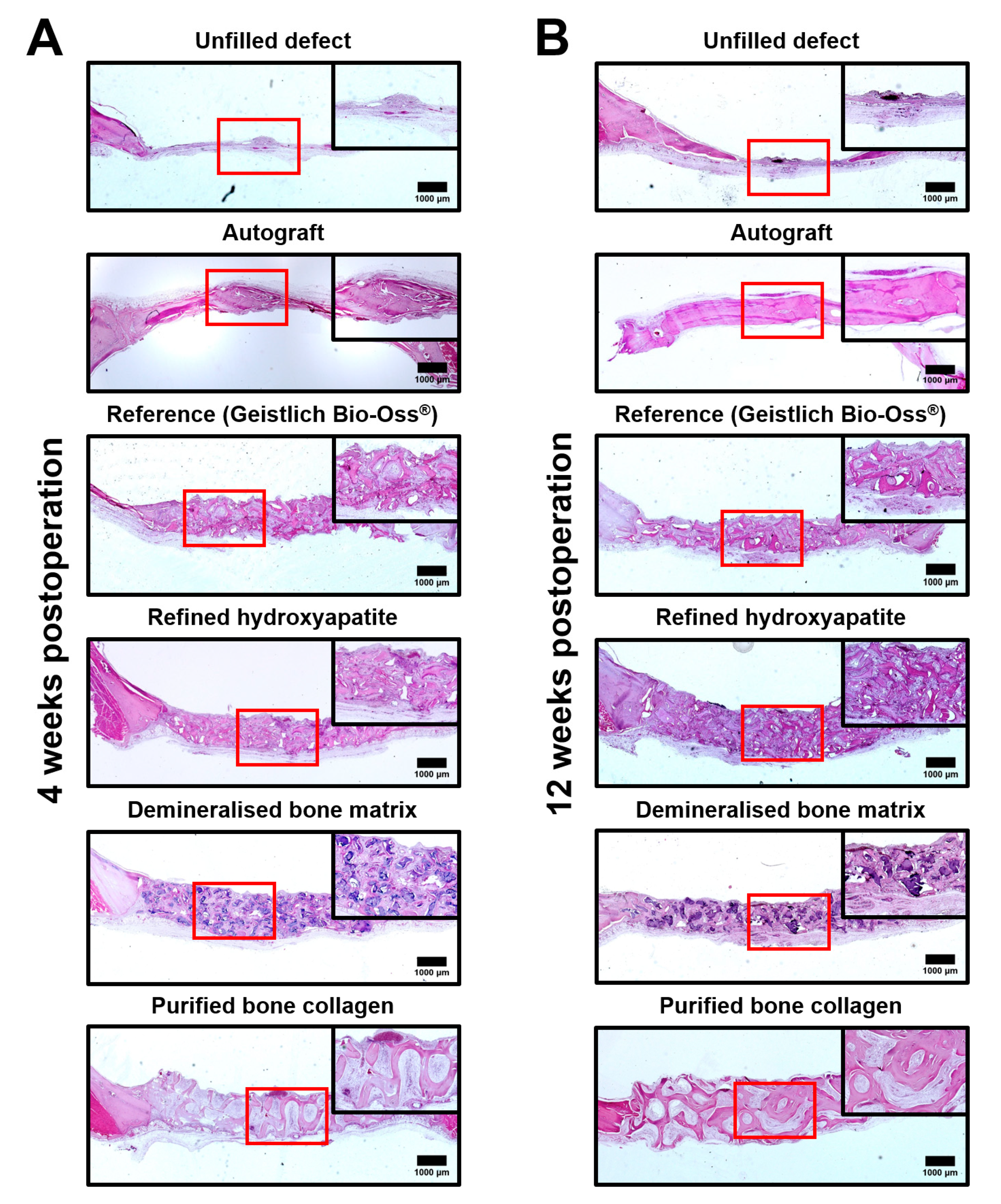 Materials 13 03393 g002 Materials 13 03393 g002