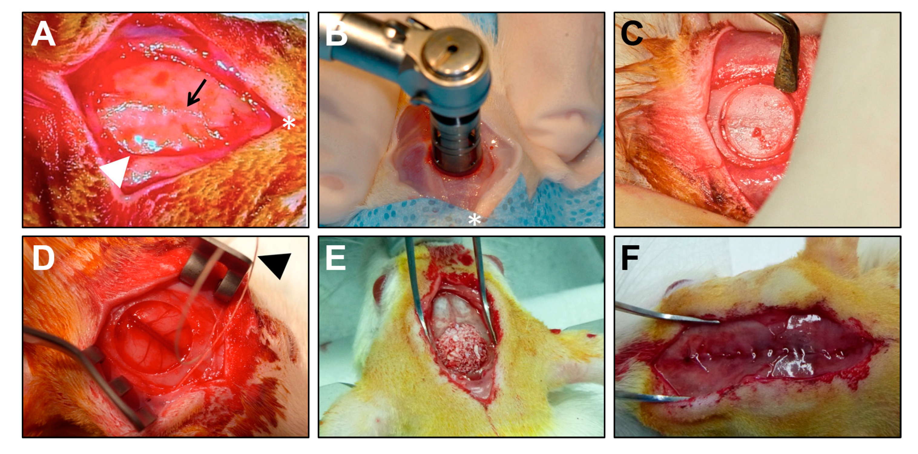 Materials 13 03393 g004 Materials 13 03393 g004
