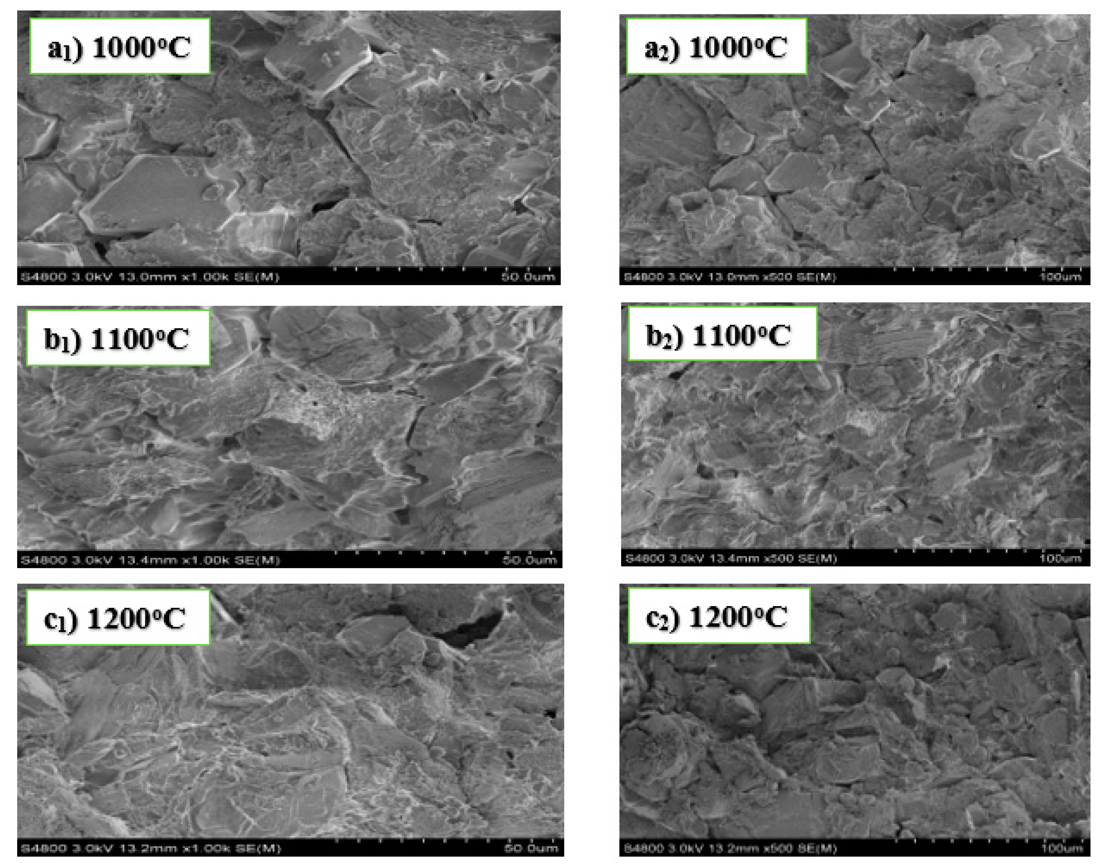 Materials 13 03406 g001