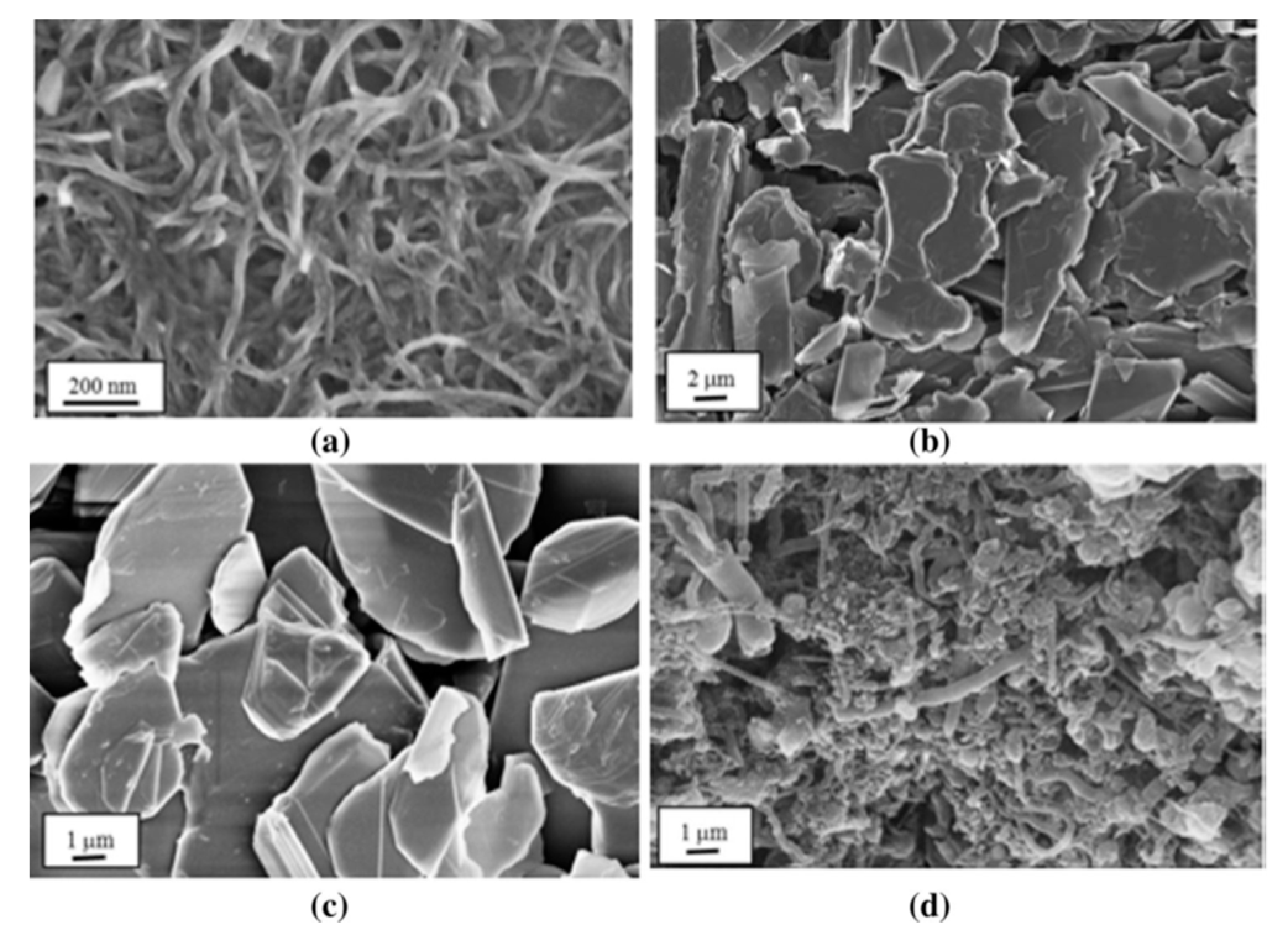 Materials 13 03415 g002