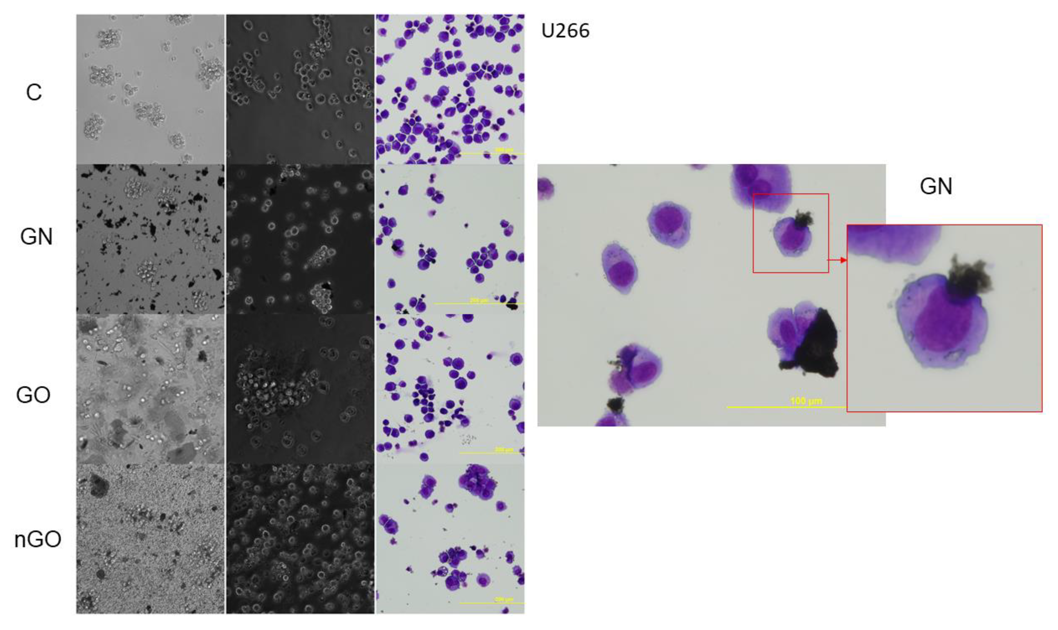 Materials 13 03420 g013 Materials 13 03420 g013